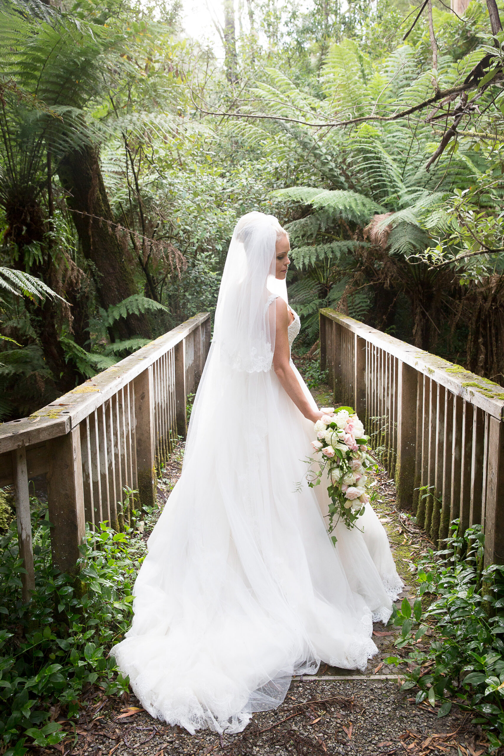 Hannah_Pete_Lyrebird-Falls-Wedding_Jason-Vannan-Photography_037