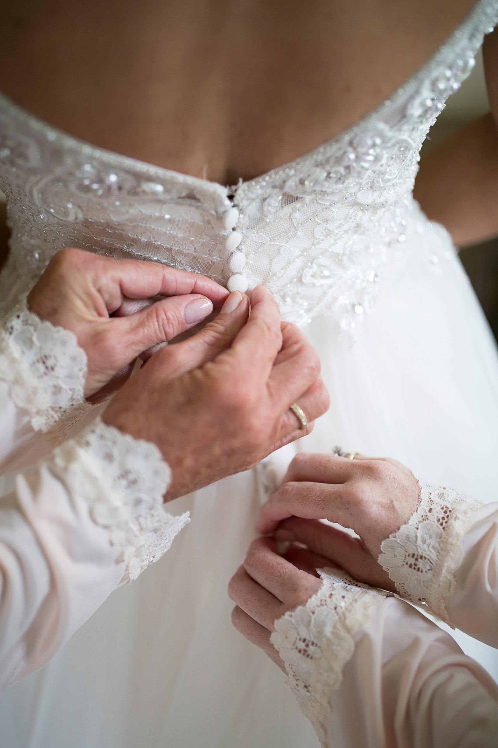 Hannah_Pete_Lyrebird-Falls-Wedding_Jason-Vannan-Photography_SBS_011