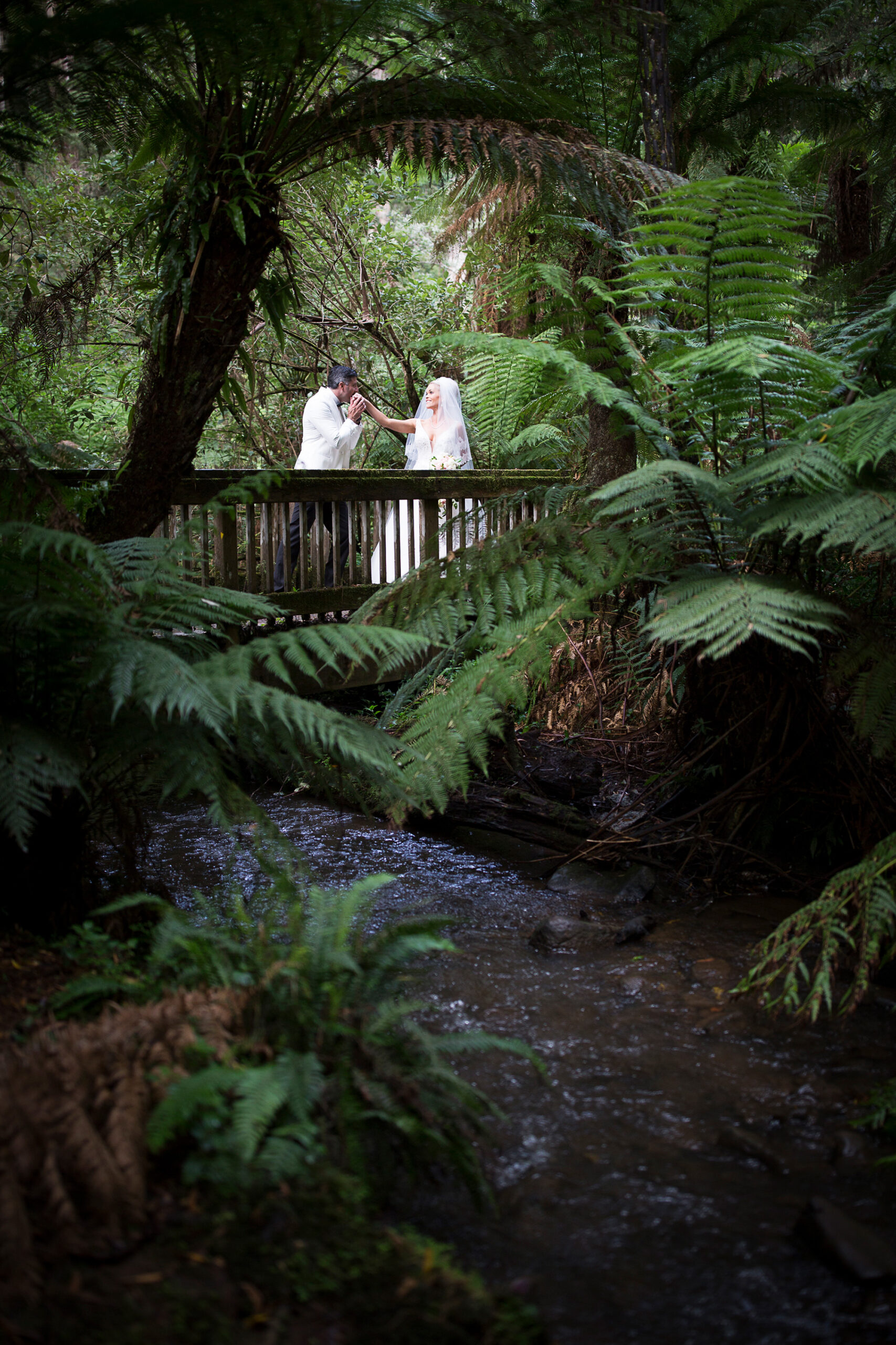 Hannah_Pete_Lyrebird-Falls-Wedding_Jason-Vannan-Photography_SBS_028