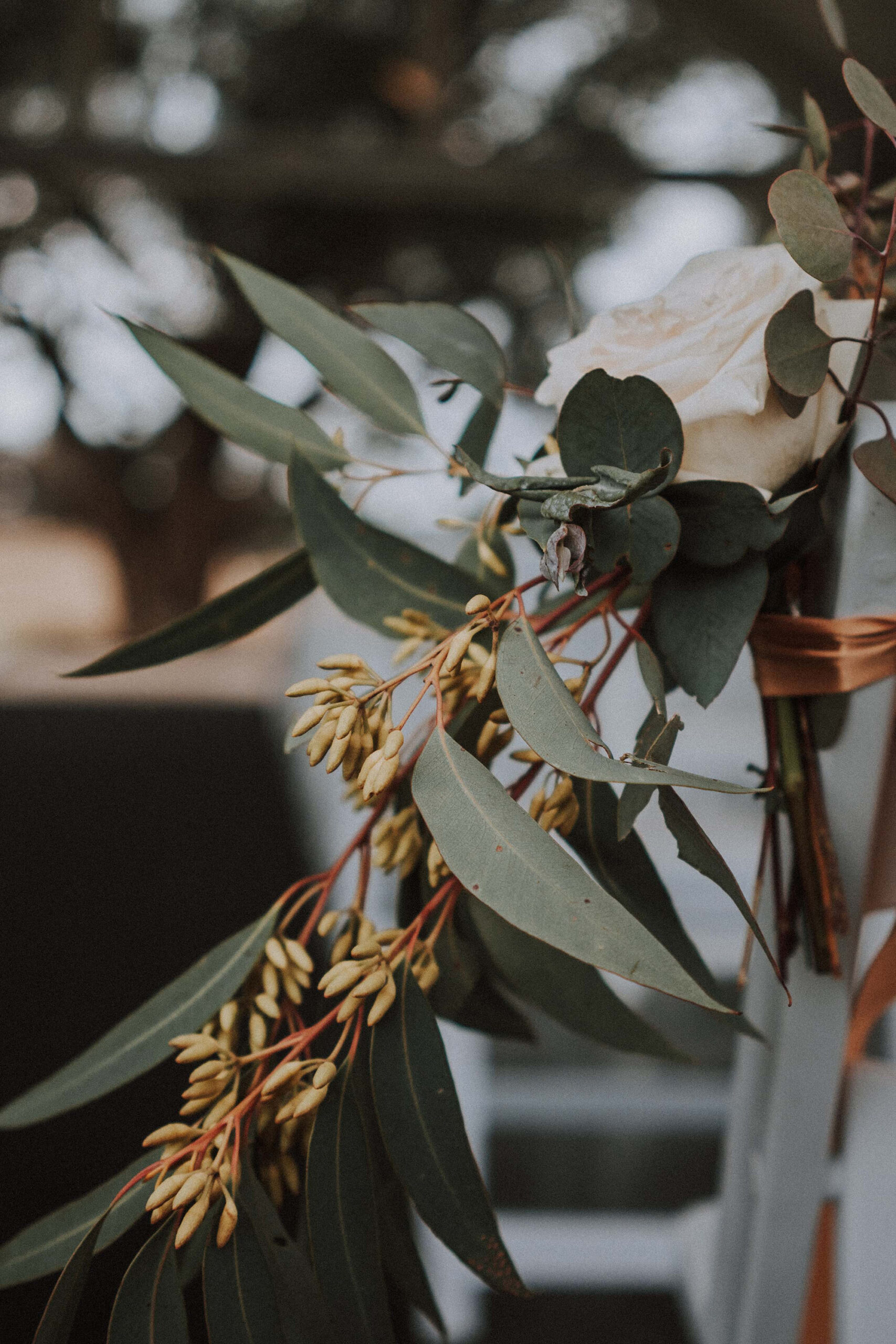 Jacki Paul Native Australia Wedding Onemustardseed Photography SBS 009 scaled