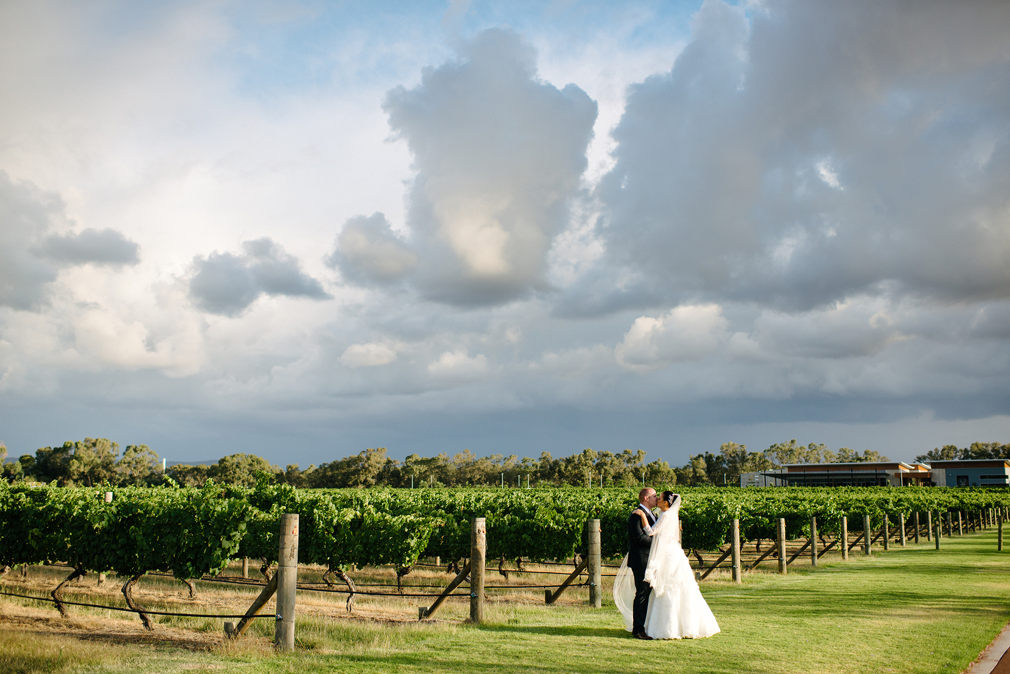 Jasmine_Damir_Vineyard-Wedding_034