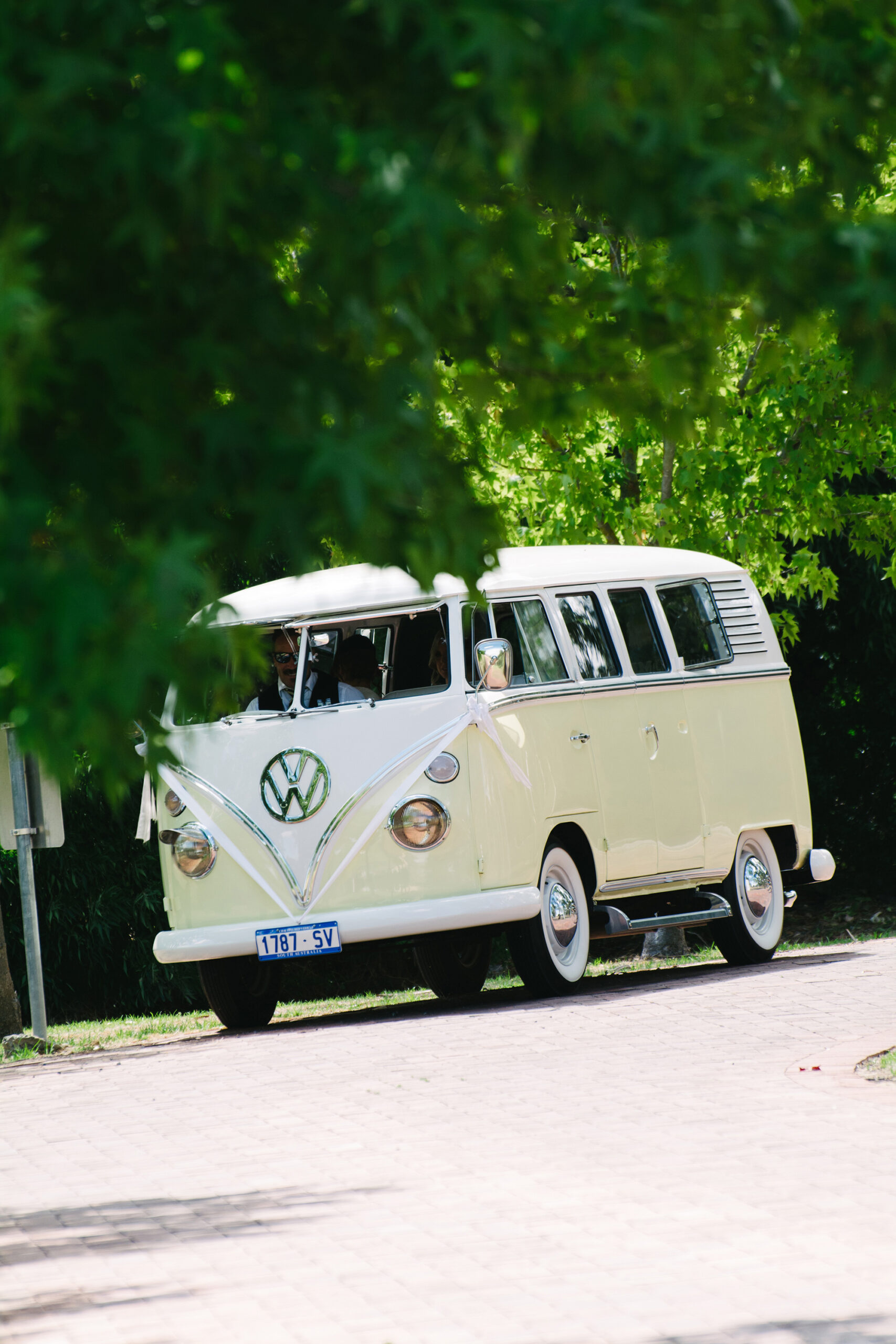 Jessica_Daniel_Rustic-Vineyard-Wedding_017