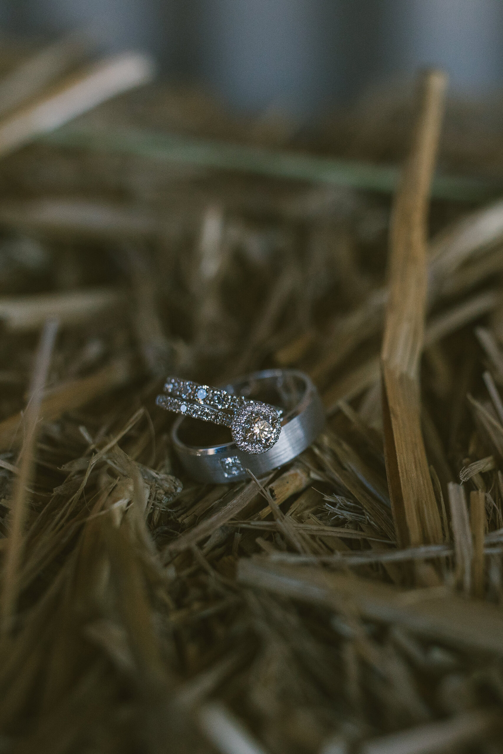 Kate Jesse Country Estate Wedding Magnus Agren Photography SBS 001 scaled