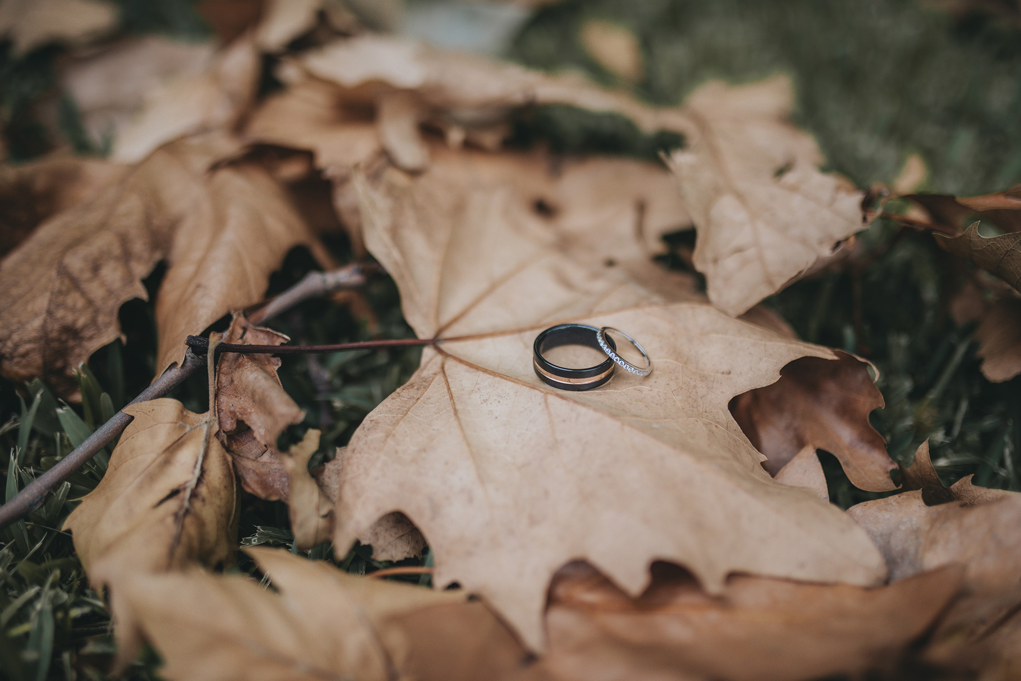 Kate_Tristan_Country-Rustic-Wedding_014