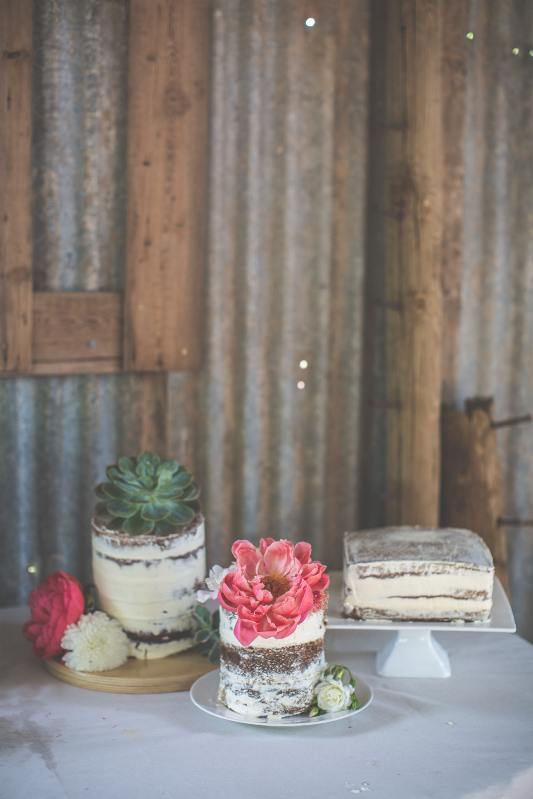 Kathryn_Justin_Rustic-Garden-Wedding_SBS_011