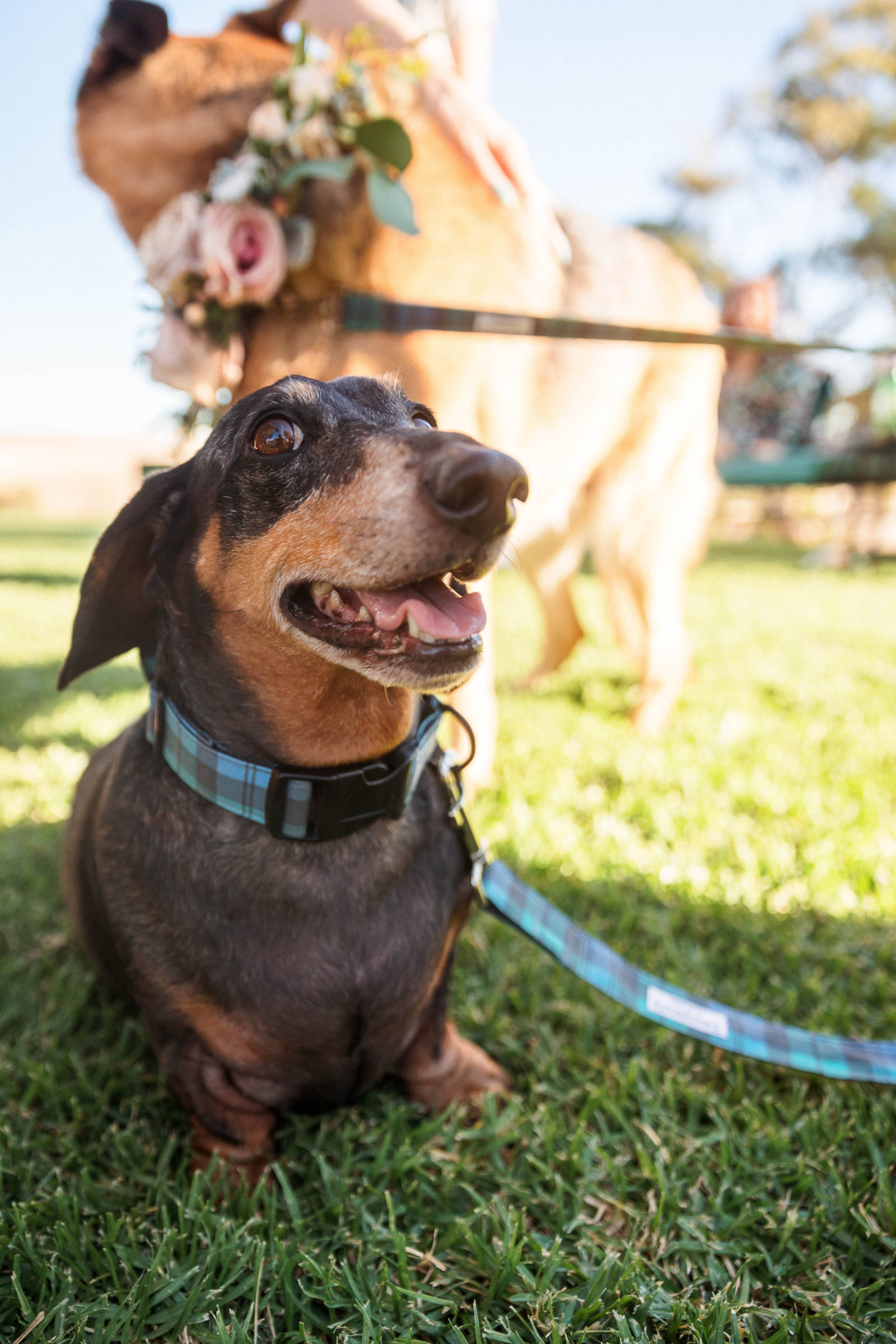 Luxury Barossa Valley wedding for Firlie and Raegan at The Kingsford Barossa. Photos by James Field Photography.