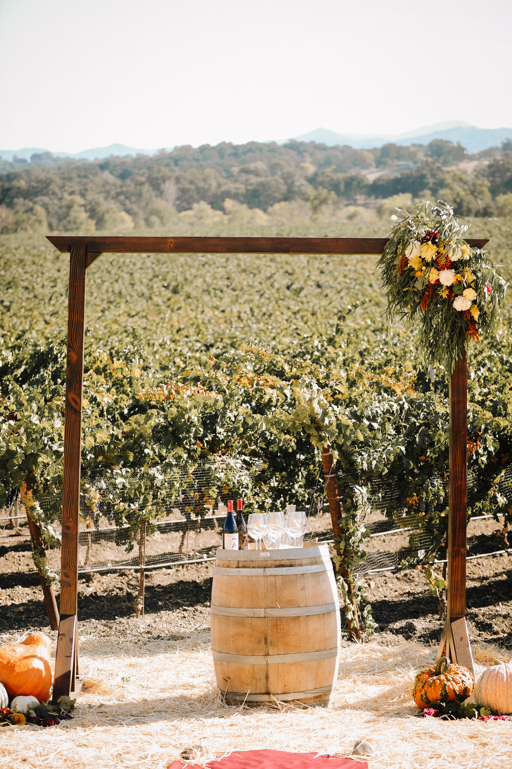 Kristen Carter Rustic Winery Wedding KDot Photography SBS 016 scaled