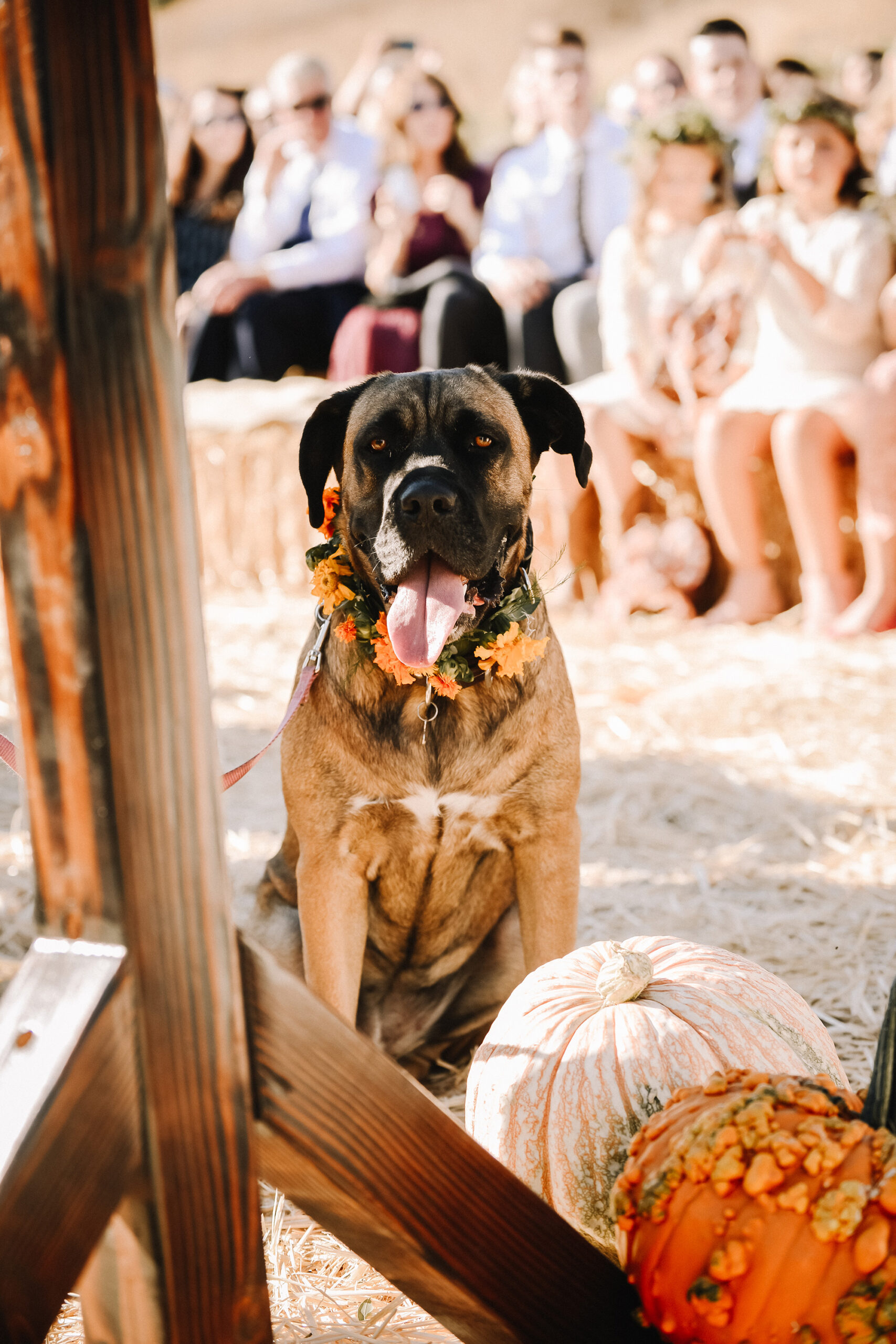 Kristen Carter Rustic Winery Wedding KDot Photography SBS 018 scaled