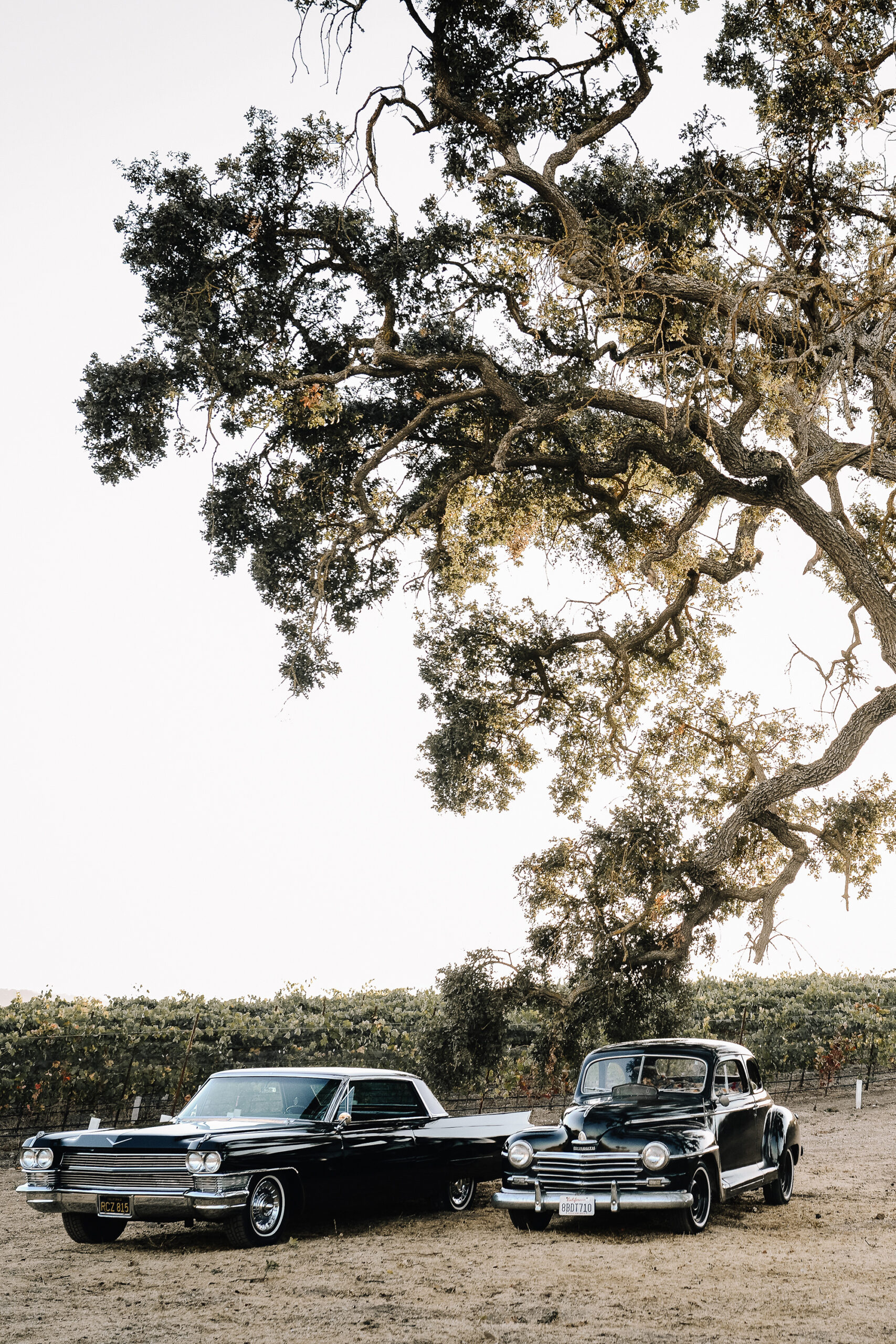 Kristen Carter Rustic Winery Wedding KDot Photography SBS 036 scaled