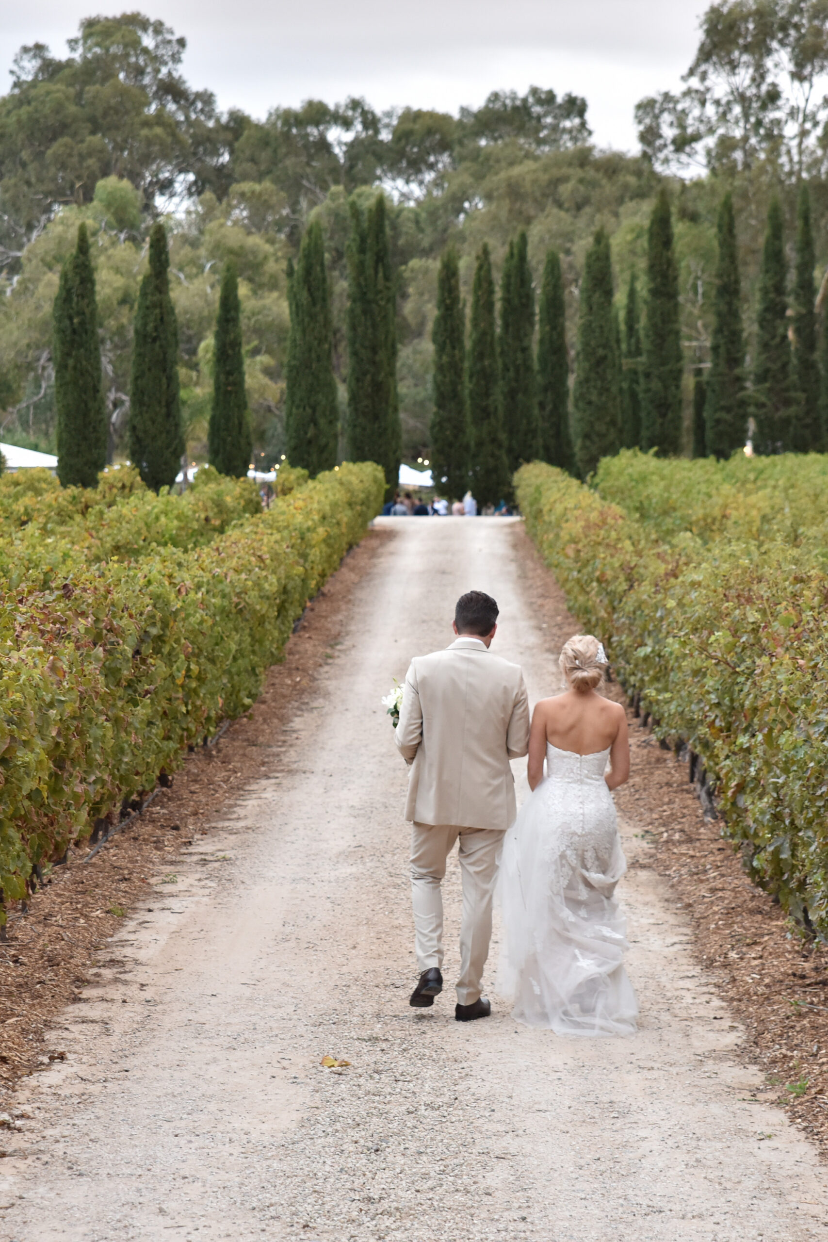 Leah_Shane_Elegant-Vineyard-Wedding_Jonathon-Colovos_SBS_028