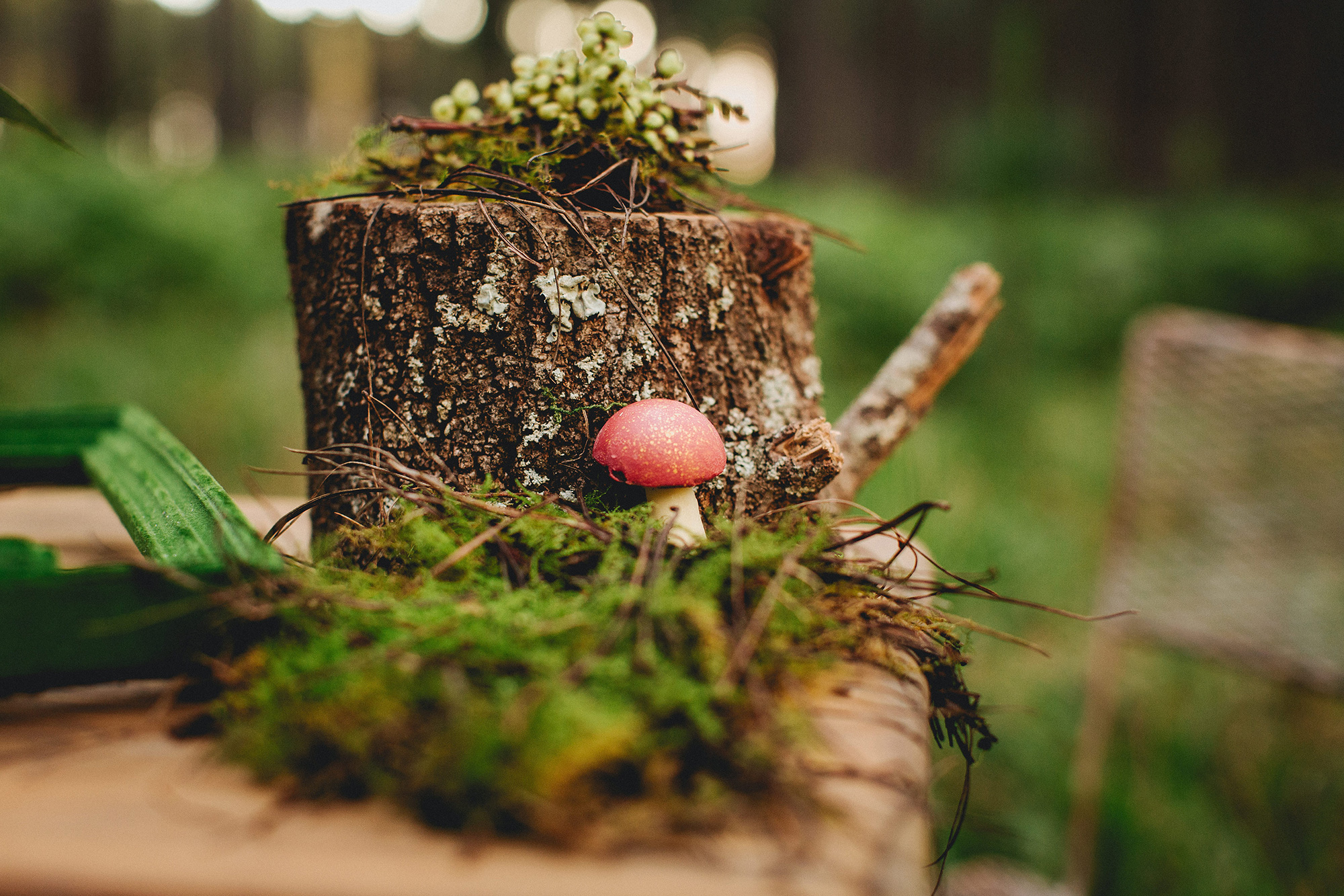 Luke_Middlemiss_Photography_Woodland-Wedding_041