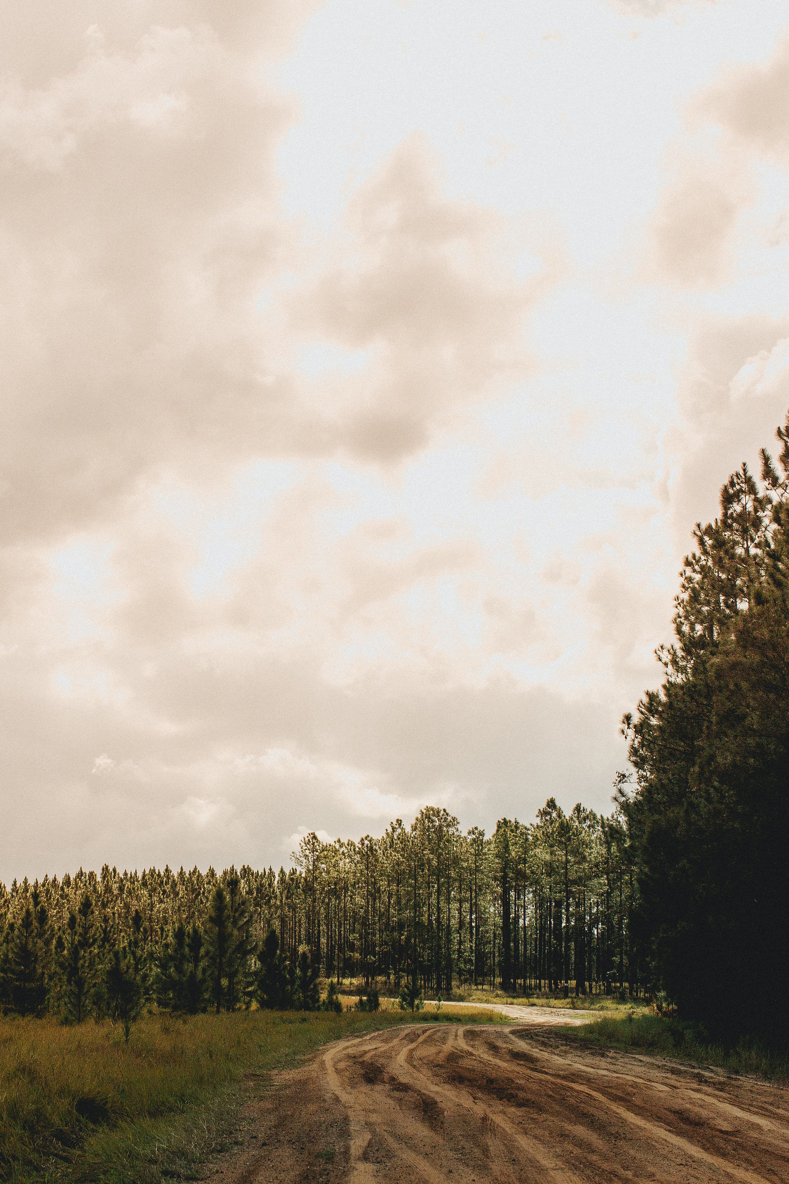 Luke_Middlemiss_Photography_Woodland-Wedding_SBS_001