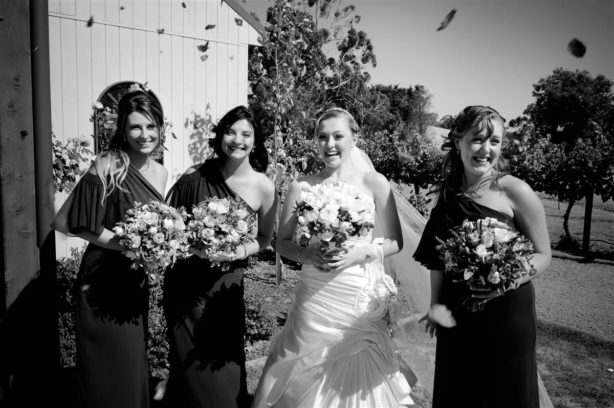 Megan_Blake_Vineyard-Wedding_016