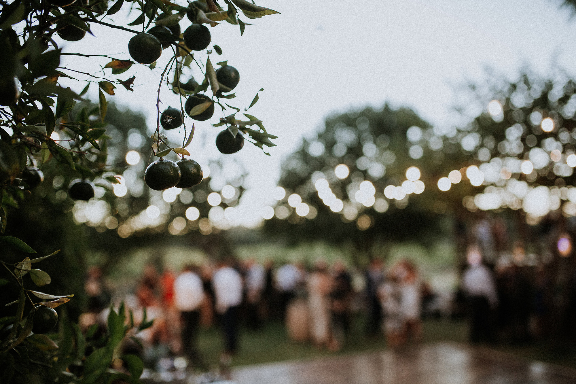 Mel Ryan Rustic Vineyard Wedding Lana Pratt Photography 057