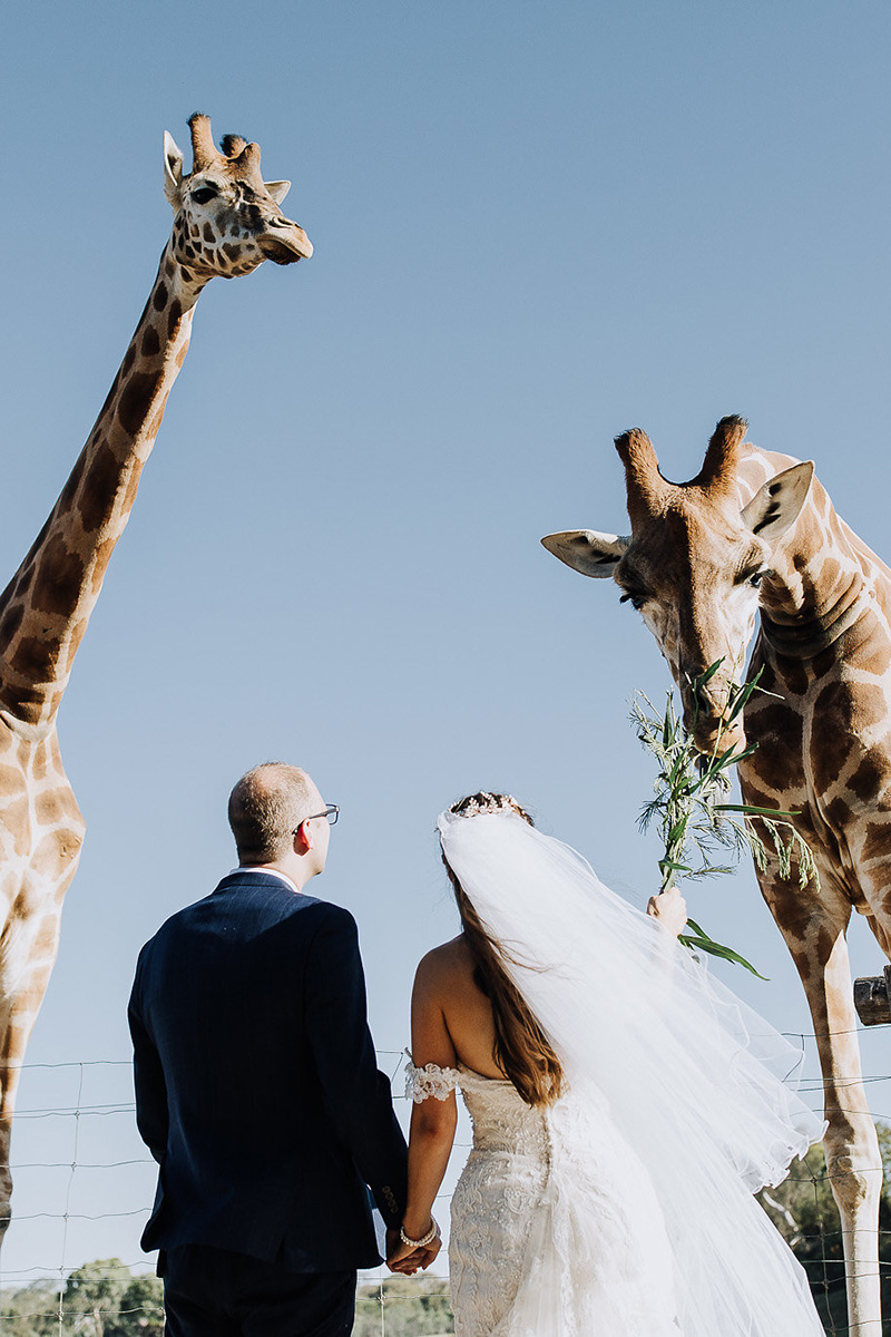 Nadine Andrew Safari Wedding Christian Marc Photography SBS 027