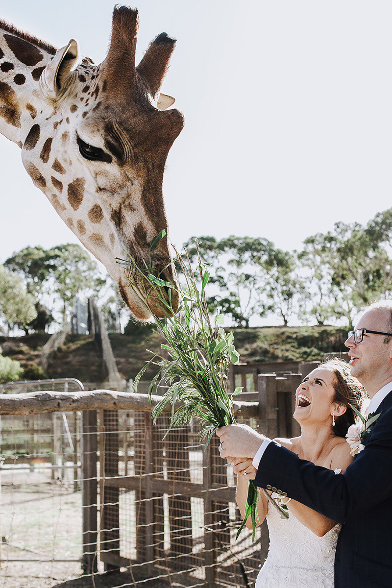 Nadine Andrew Safari Wedding Christian Marc Photography SBS 029