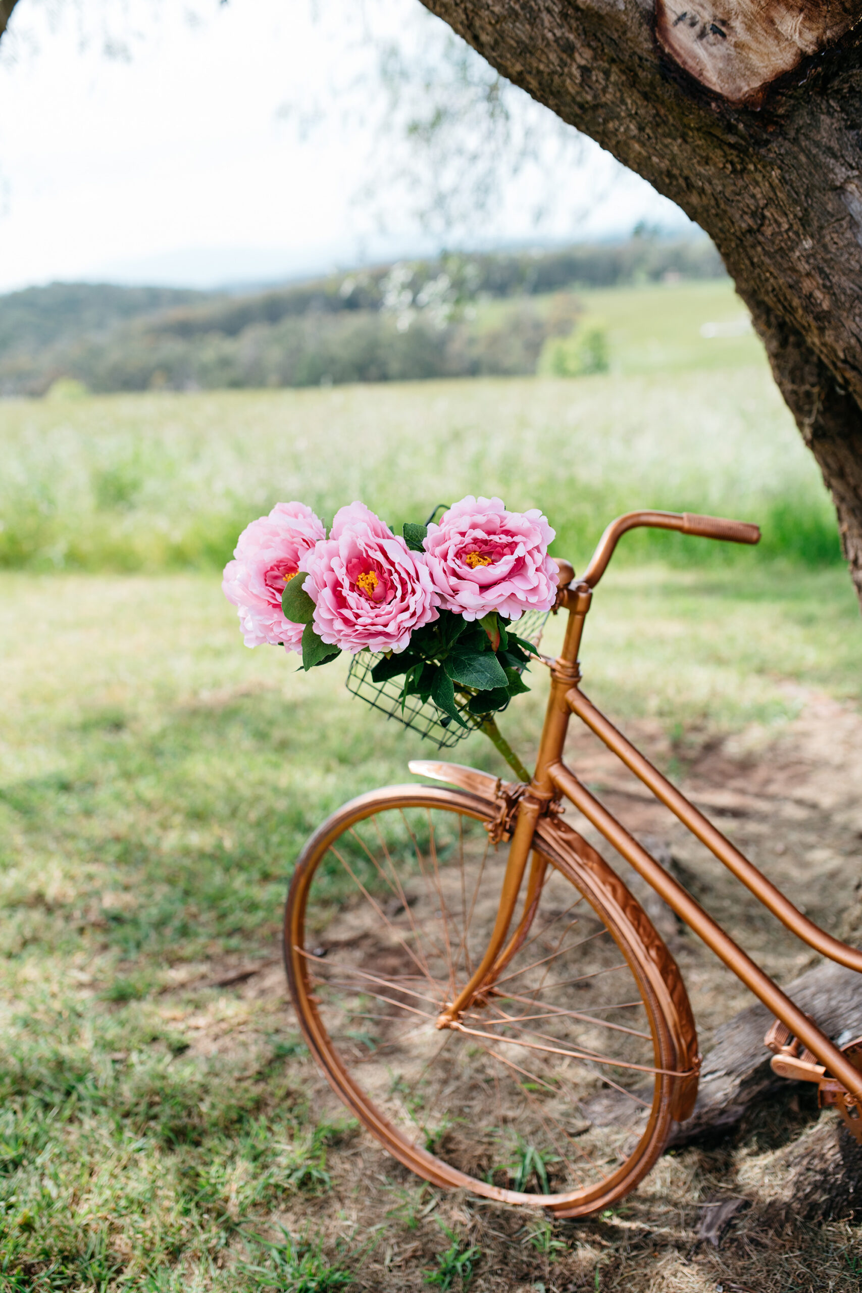 Nicole Eoin Rustic Irish Wedding Laugh Out Loud Photography SBS 002 scaled