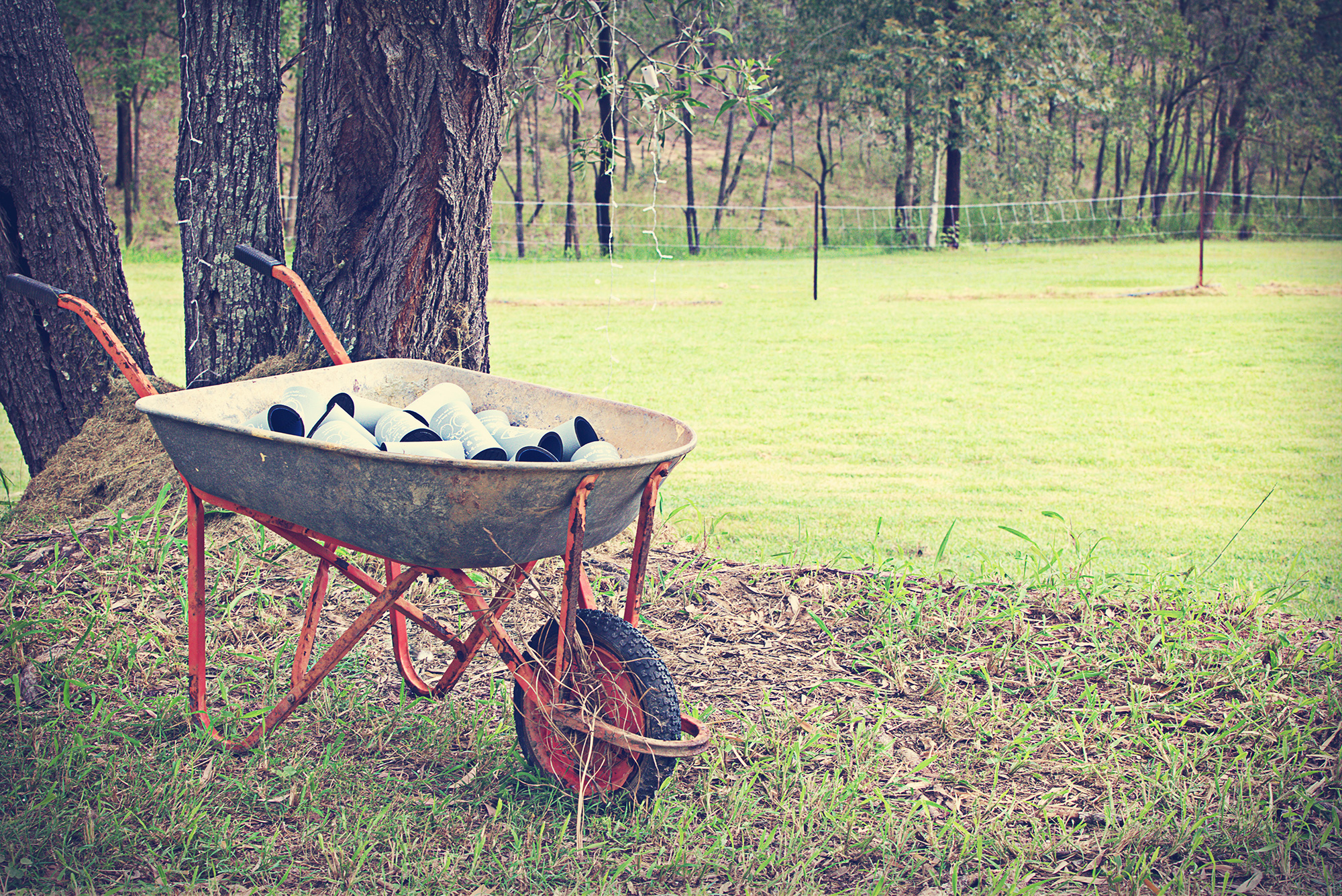 Nicolette_Ryan_Vintage-Country-Wedding_002