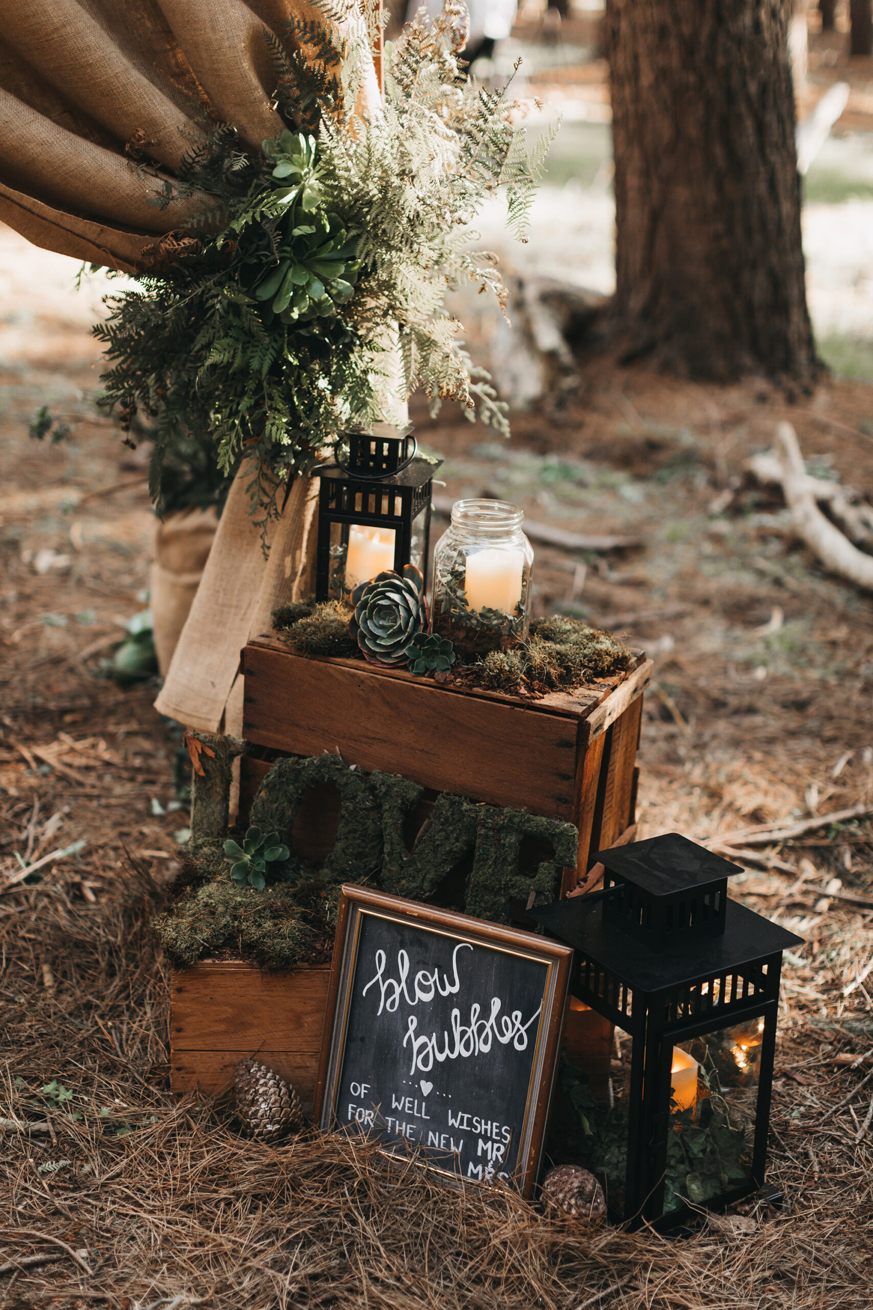 Paula Sam Rustic Forest Wedding Jewel Chenoweth Photography SBS 015 scaled