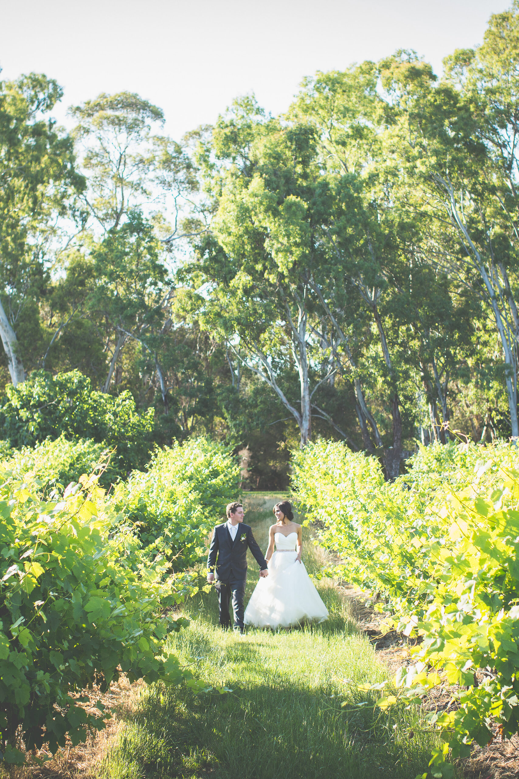 Phoebe_Travis_Romantic-Vineyard-Wedding_SBS_022