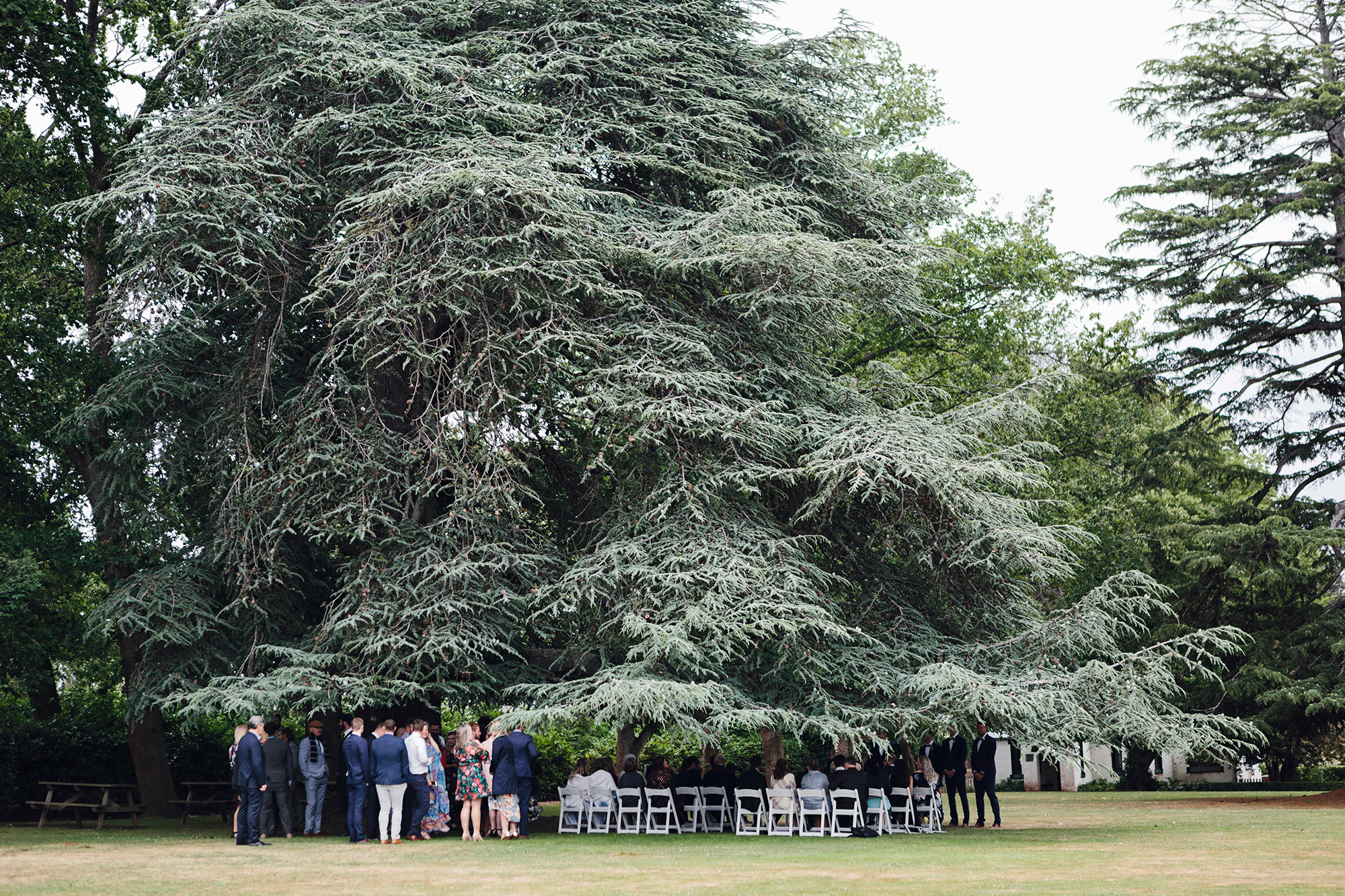 Rachael_Joe_Modern-Classic-Wedding_Michelle-Dupont_031