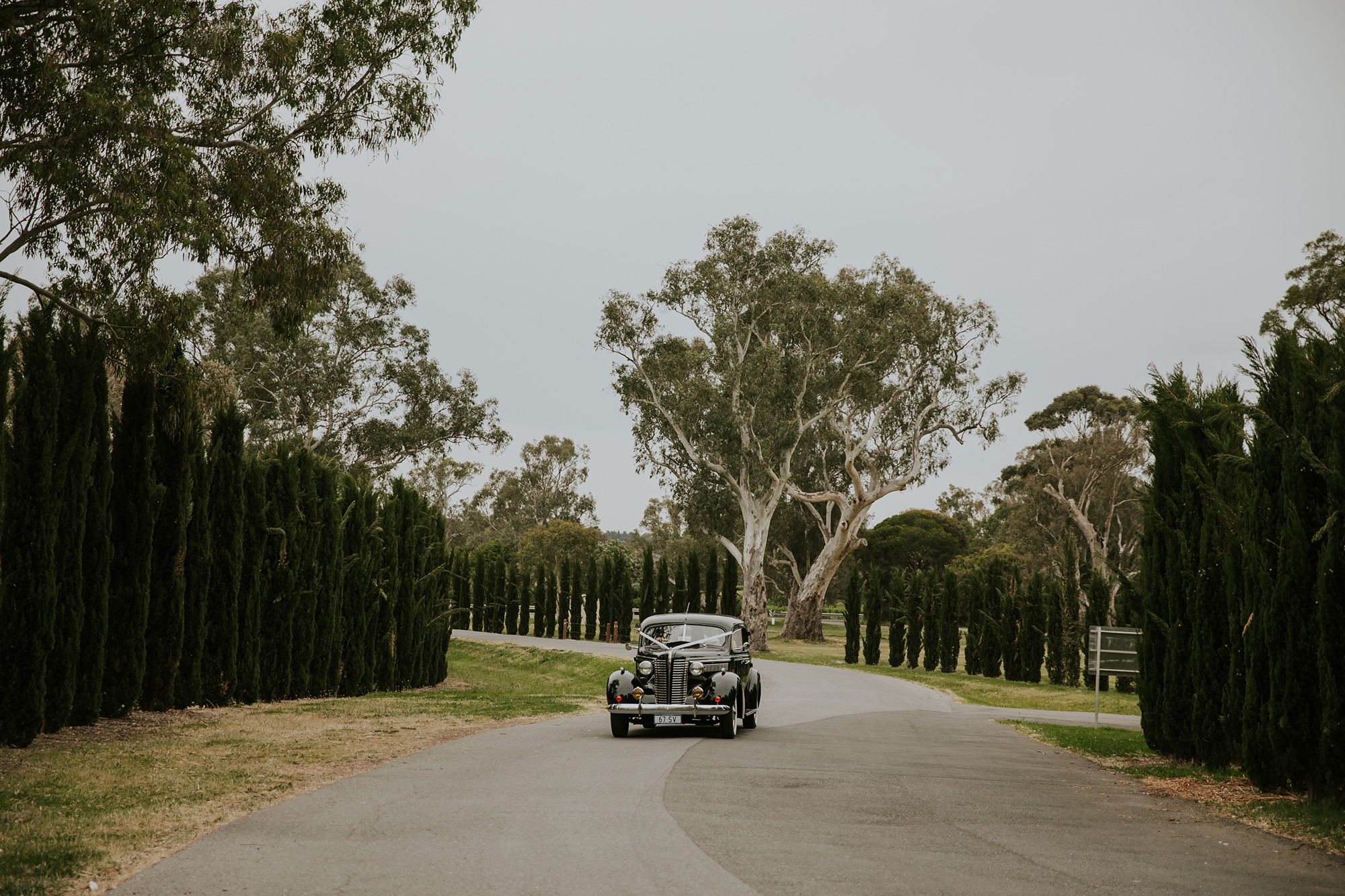 Renee Hayden Elegant Classic Wedding Travis Cornish Photography 025