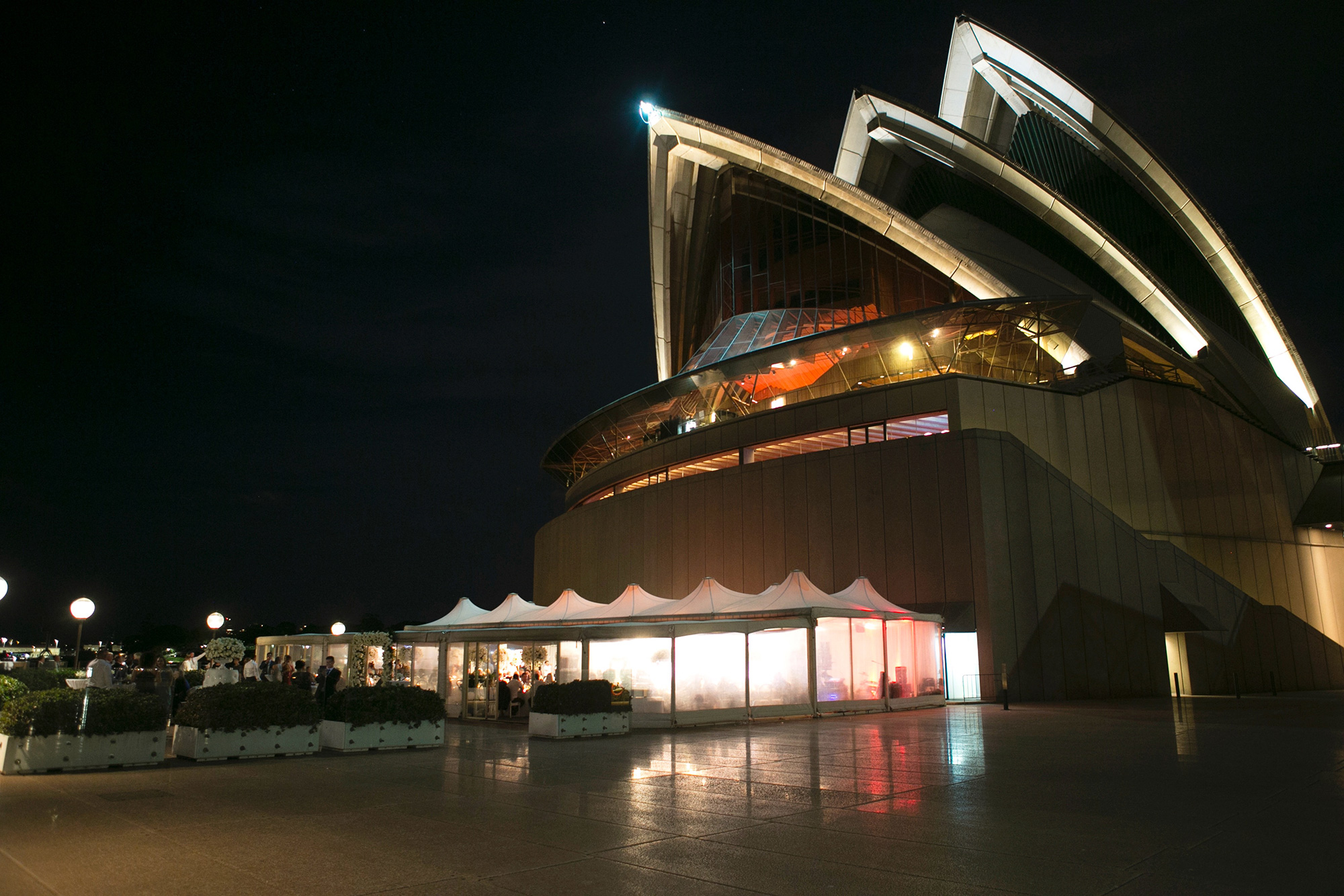 Sabrina_Brad_Opera-House-Wedding_Blumenthal-Photography_049