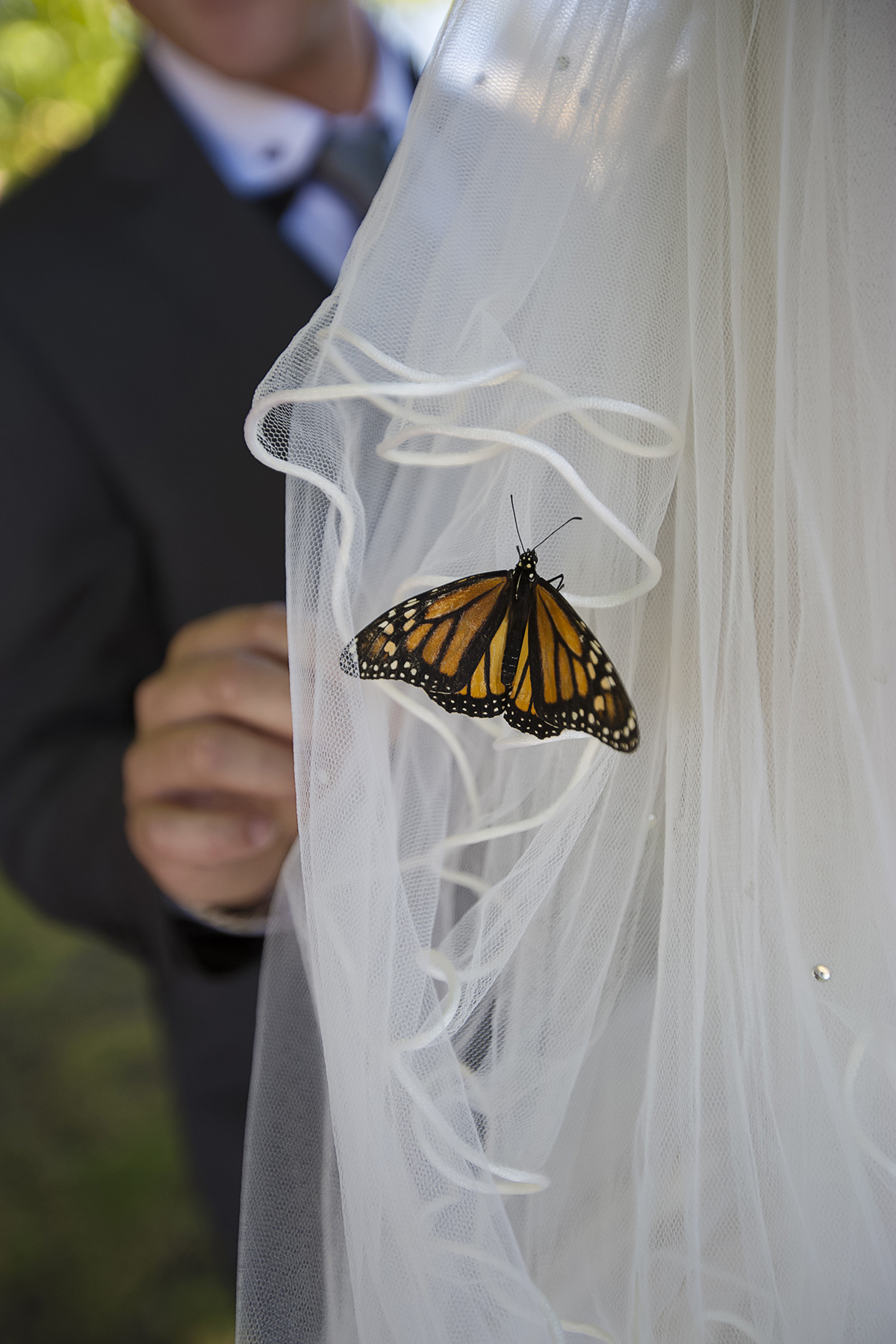 Sally_Ryan_Vineyard-Wedding_SBS_016