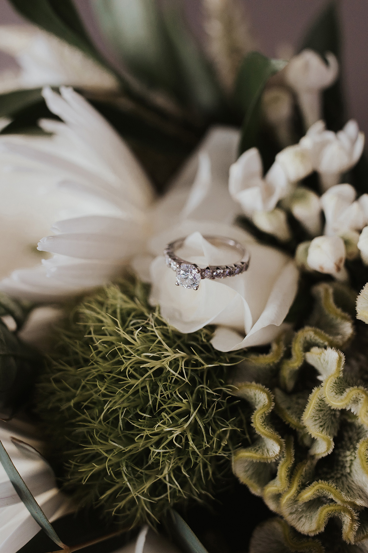 Sarah Anthony Rustic Beach Wedding Josephine Lee Photography SBS 003