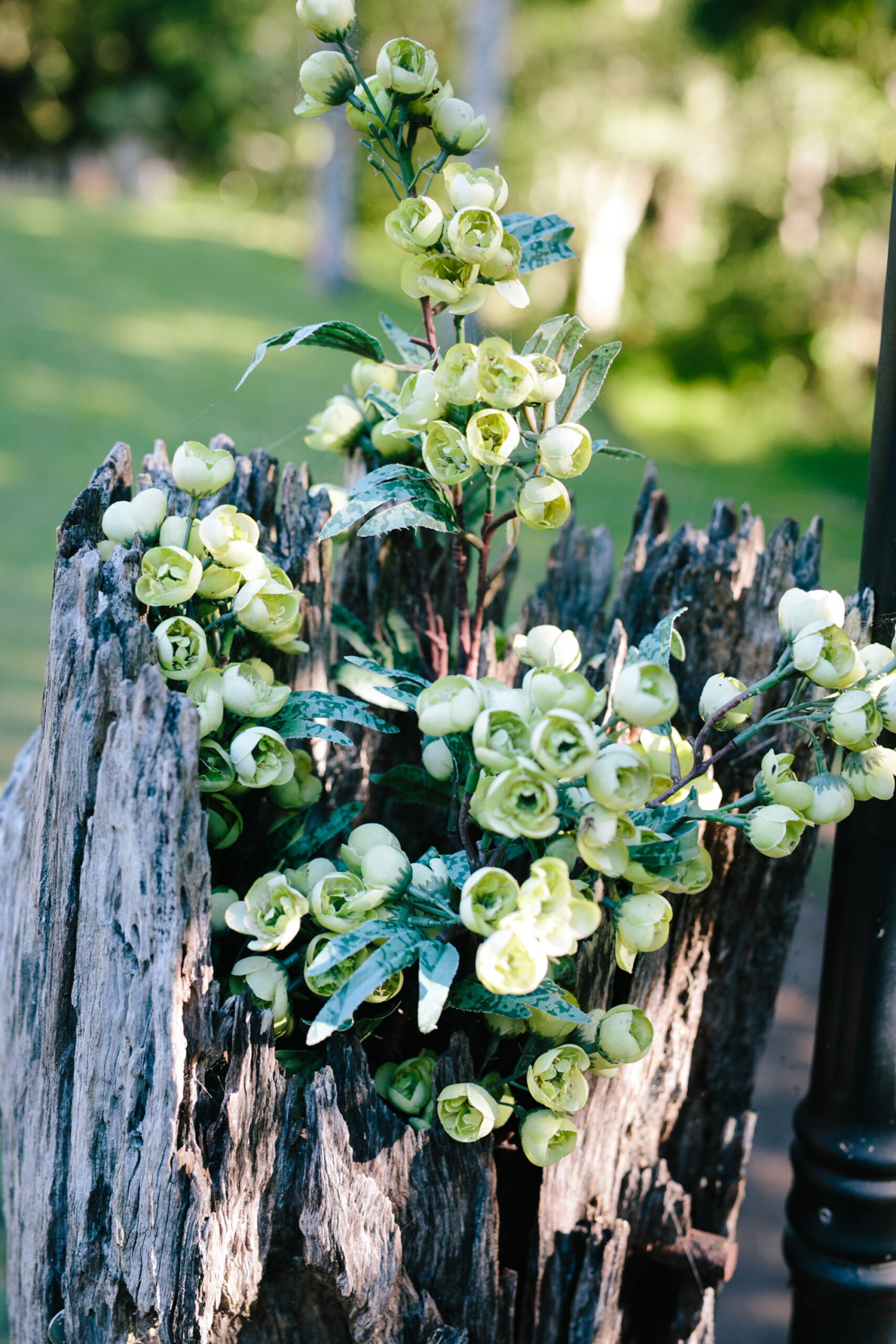 Shari_Theo_Elegant-Rustic-Wedding_SBS_013