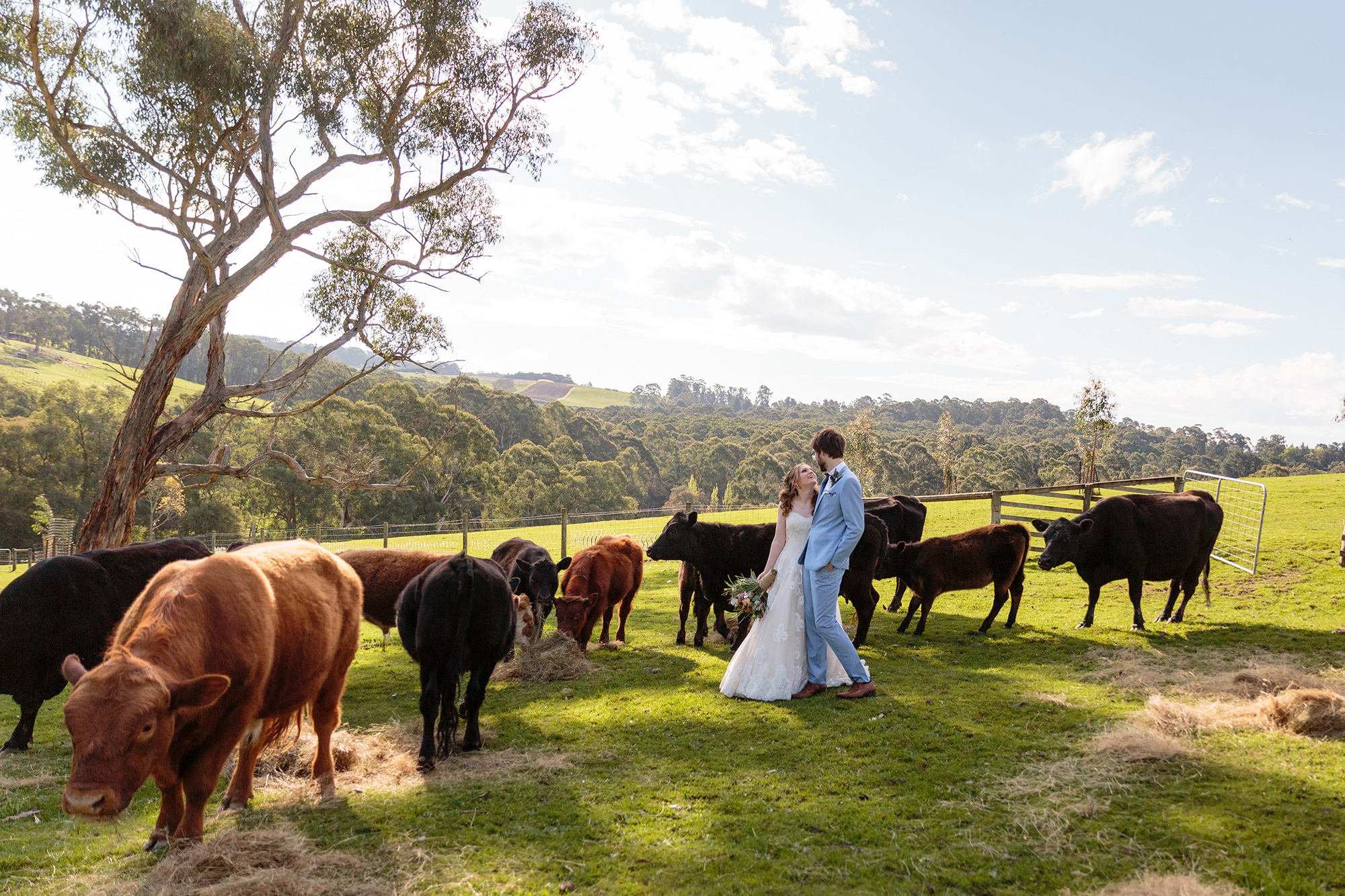 Stacey_Andrew_Rustic-Farm-Wedding_Alan-Rogers-Photography_031