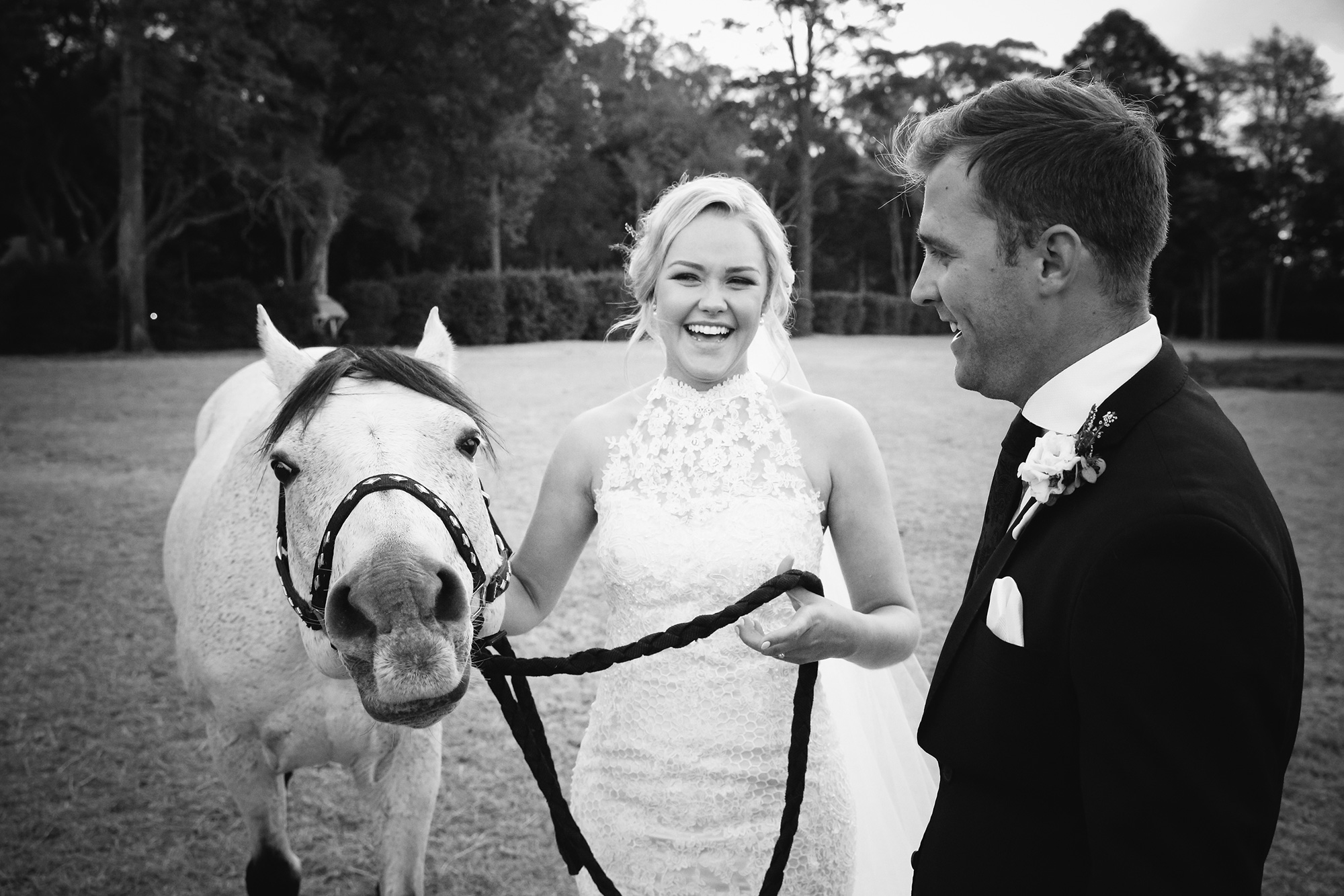 Steph Nick Elegant Garden Wedding Mitchell J Carlin Photography 009