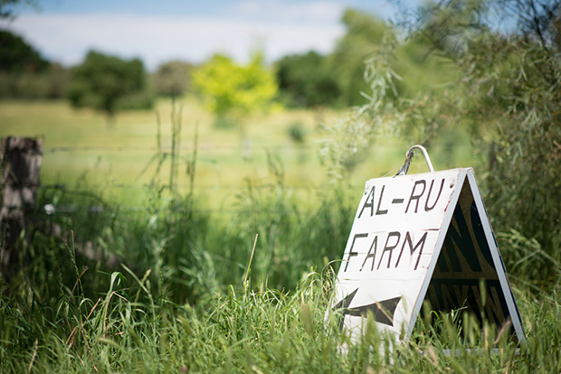 Stephanie_Duane_Rustic-Wedding_009