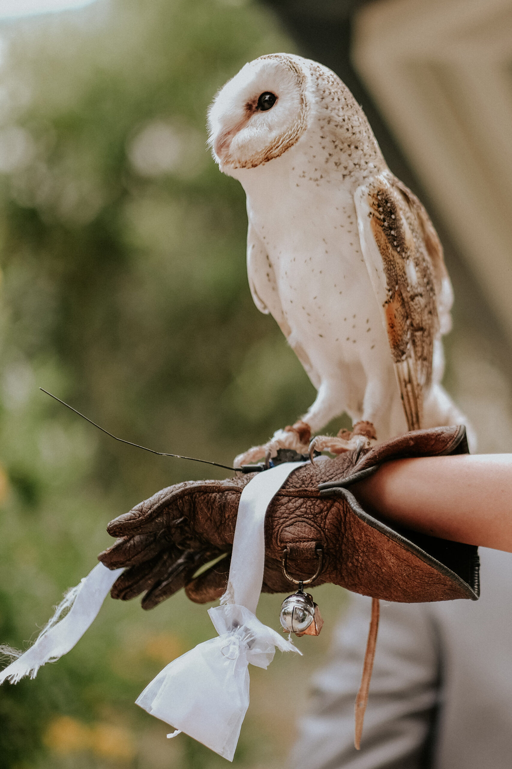 Stephanie Robert Romantic Wedding James Day Photography SBS 017 scaled