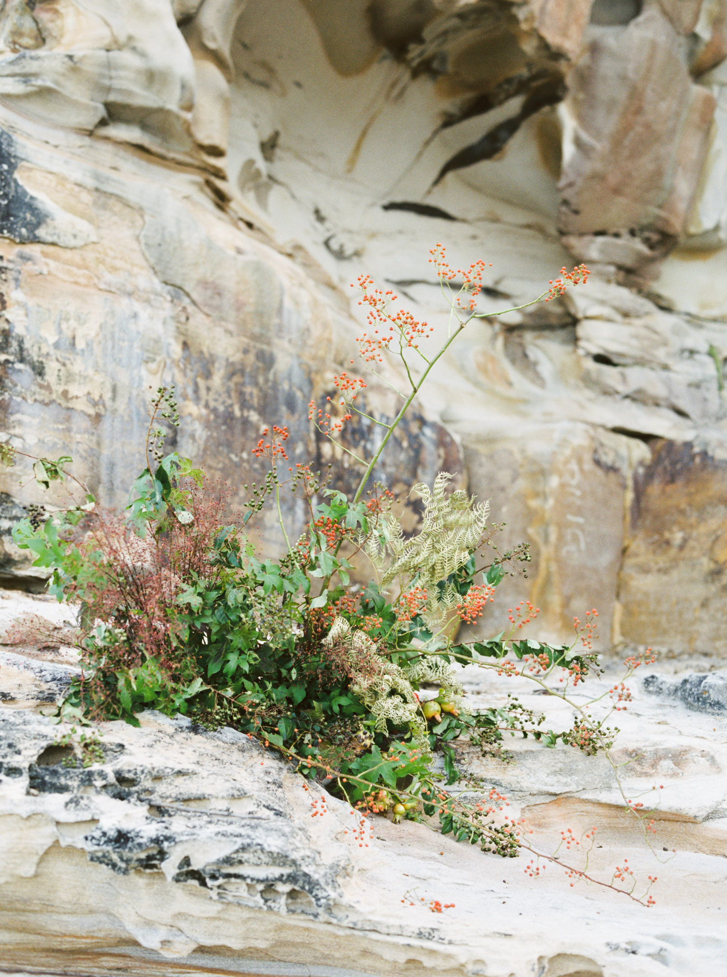 Photo of Little Bay Beach by Central Coast NSW wedding photographer Sheri McMahon