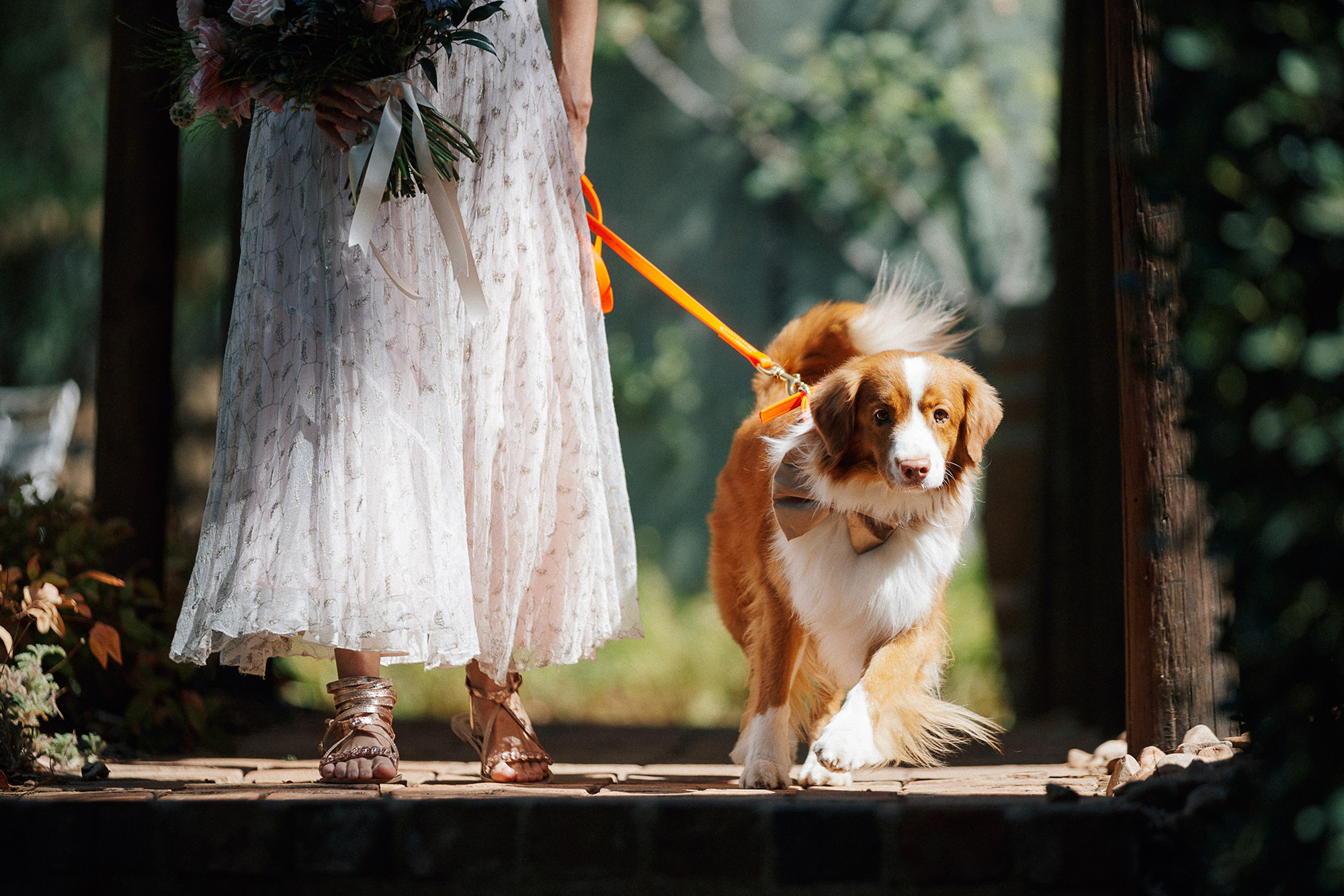 Tash Jay Bohemian Farm Wedding James Field Photography FAV 011