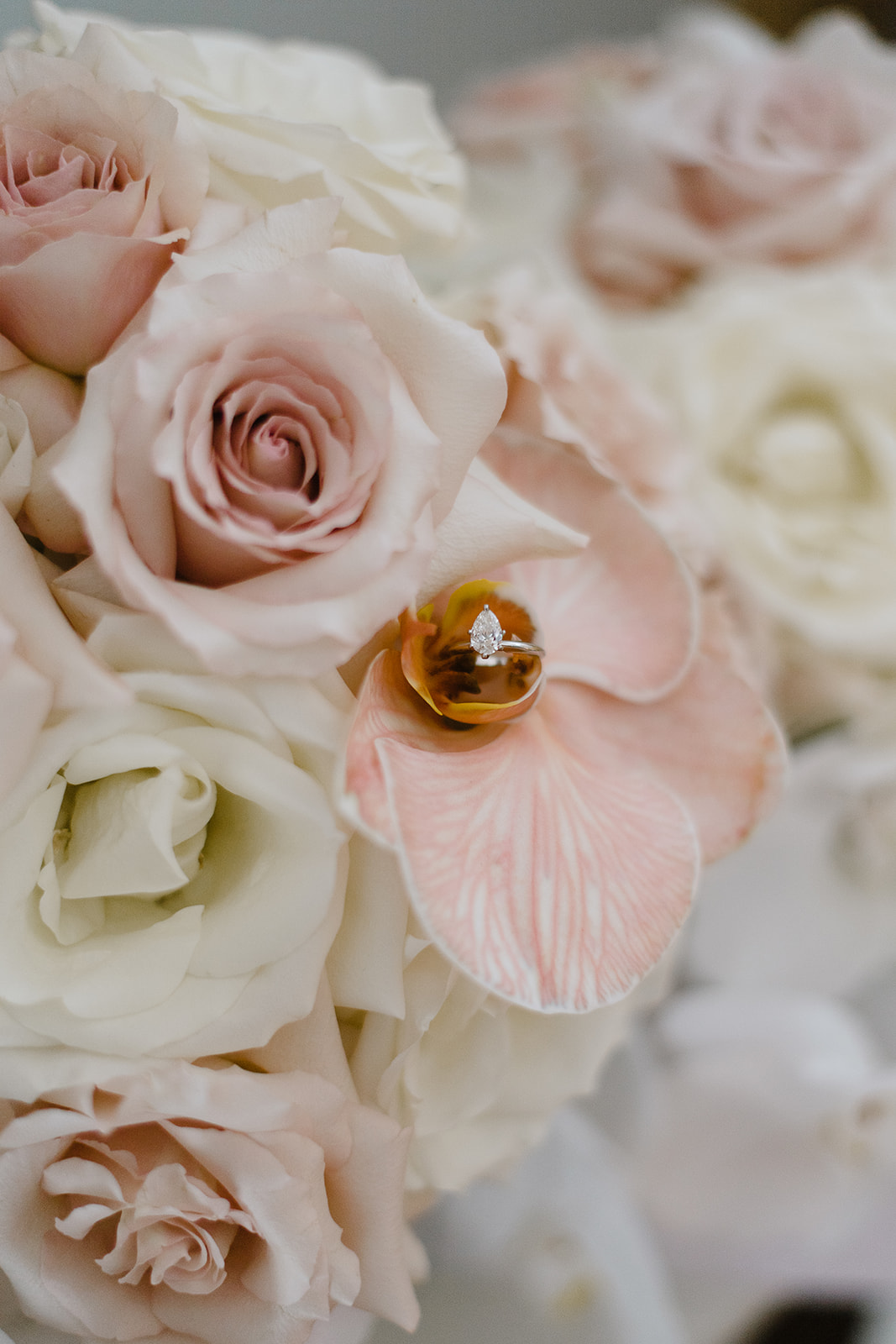 Engagement ring at The Terrace Royal Botantic Gardens Melbourne wedding