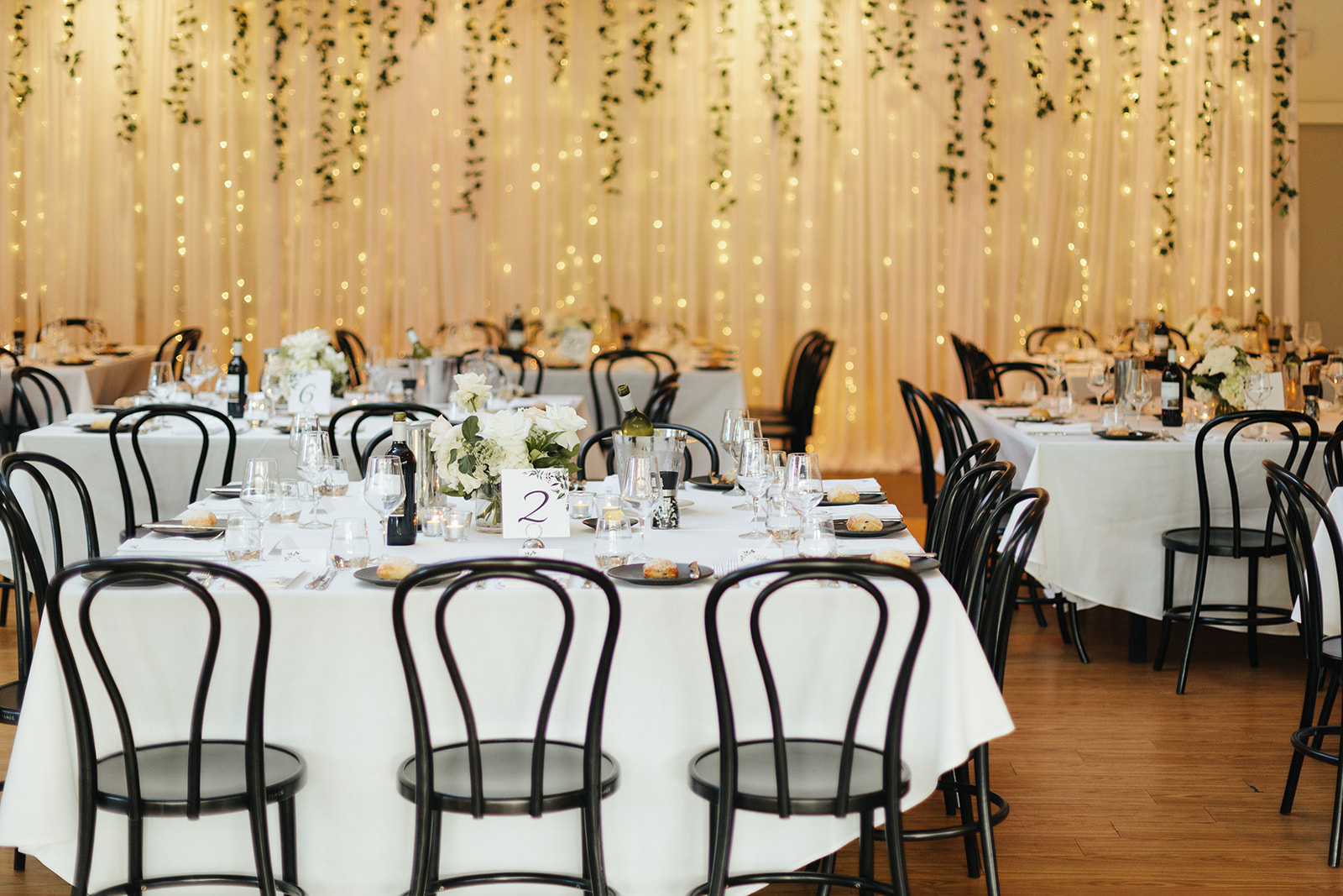 Fairy light backdrop at The Terrace Royal Botanic Gardens Melbourne wedding