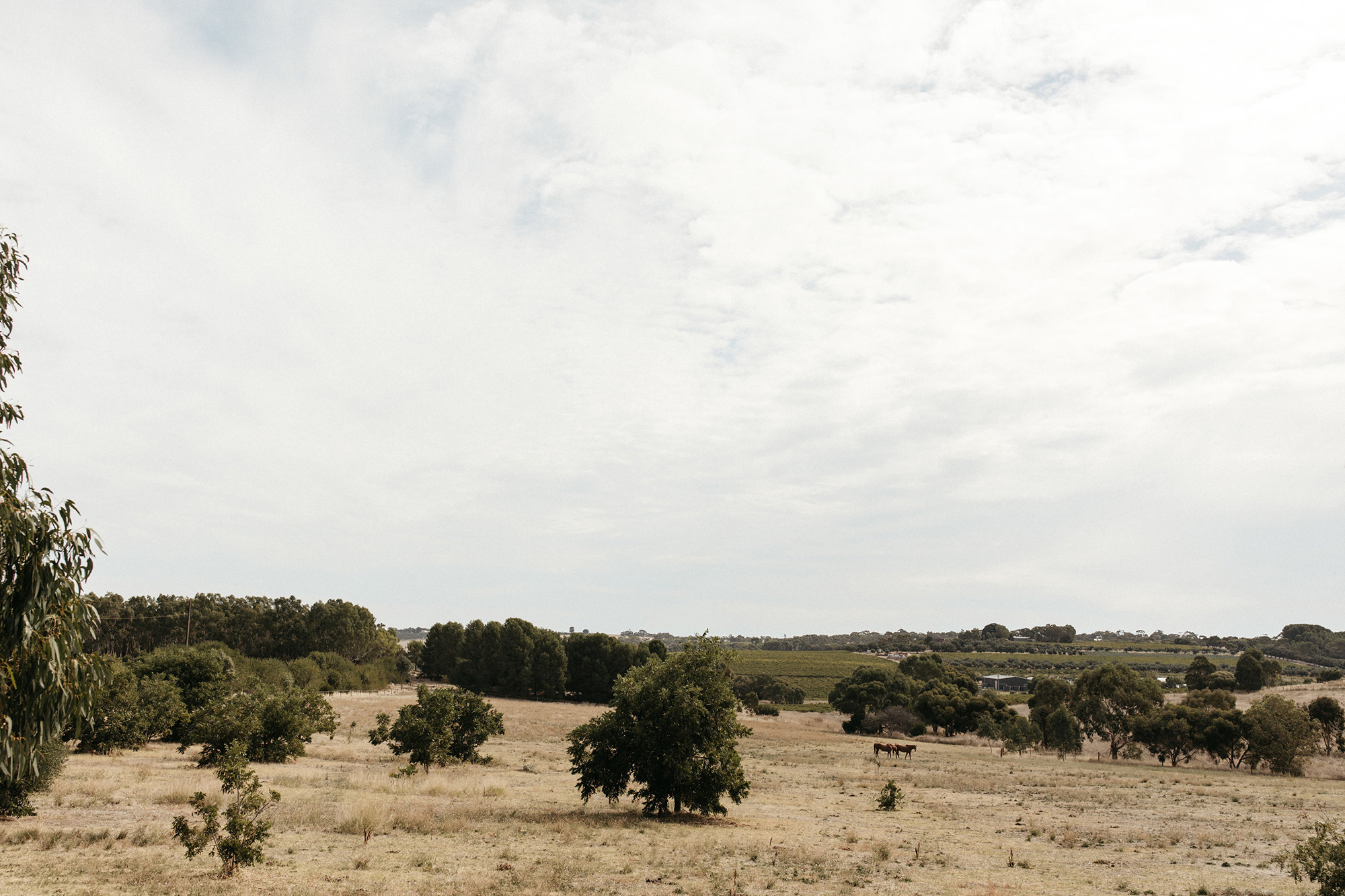 Toyah_Dylan_Modern-Rustic-Wedding_Dan-Evans-Photography_023