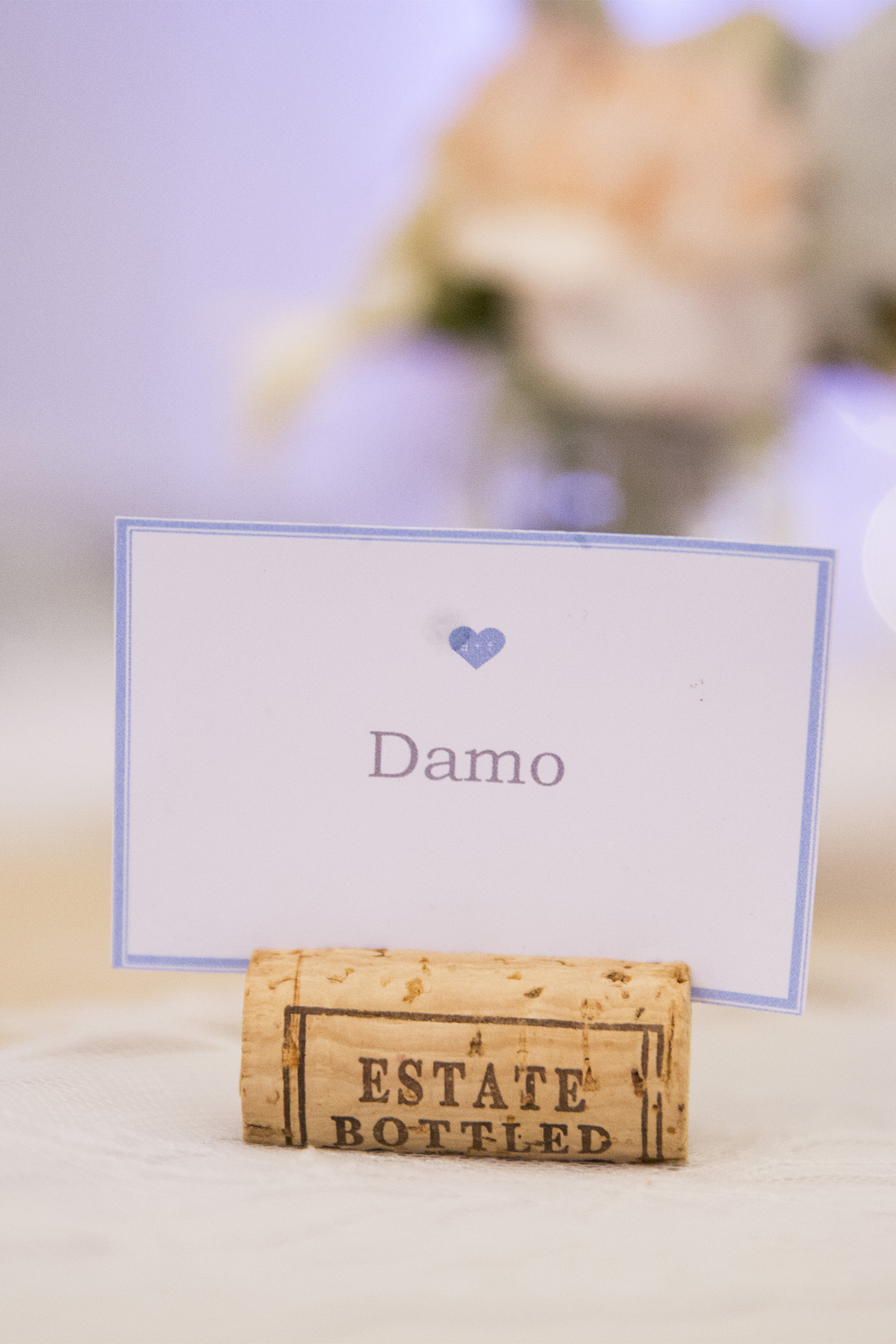 Trina_Damien_Rustic-Vintage-Wedding_SBS_036