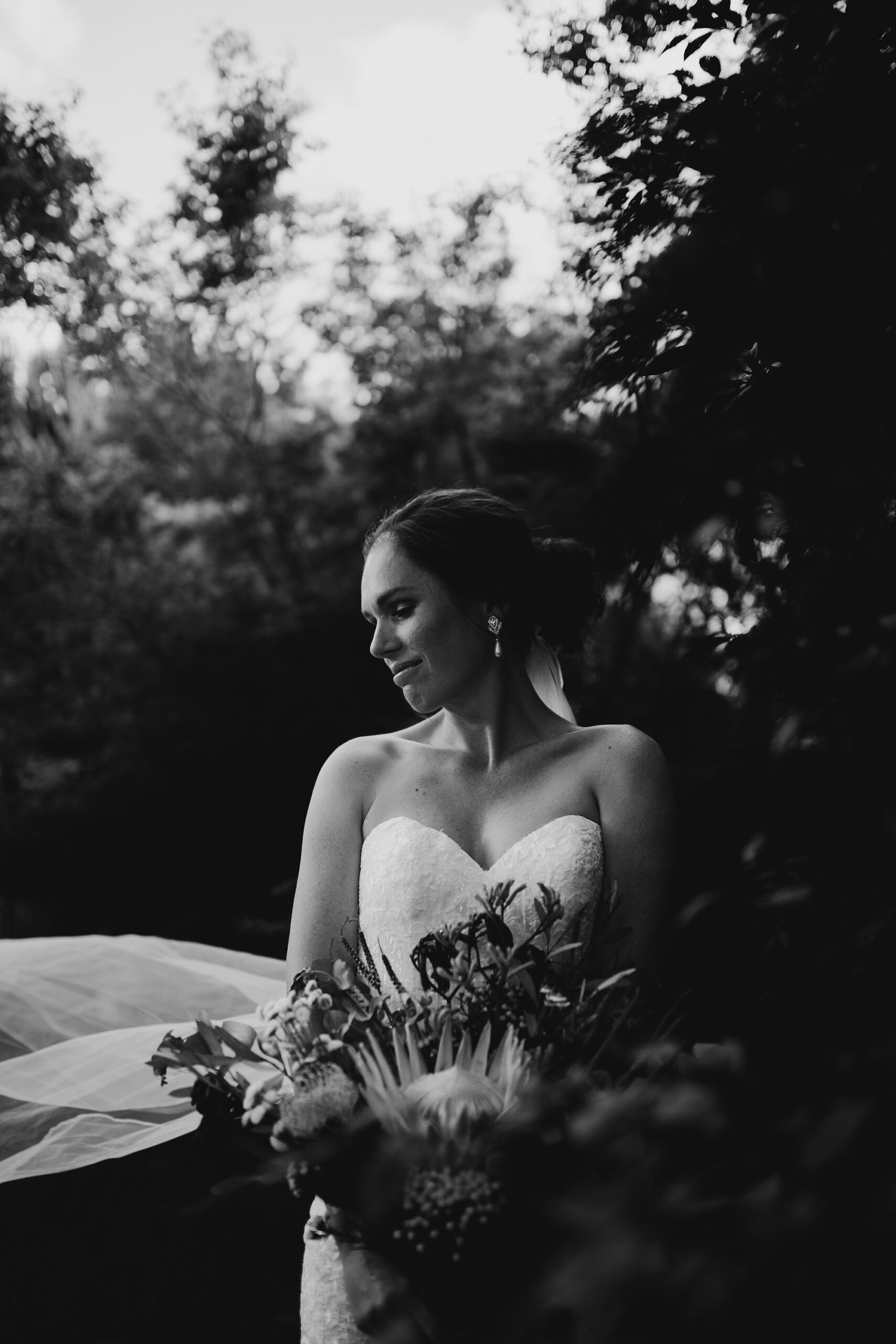 Vanessa_Stuart_Country-Vineyard-Wedding_Jazelle-Venter-Photography_SBS_015