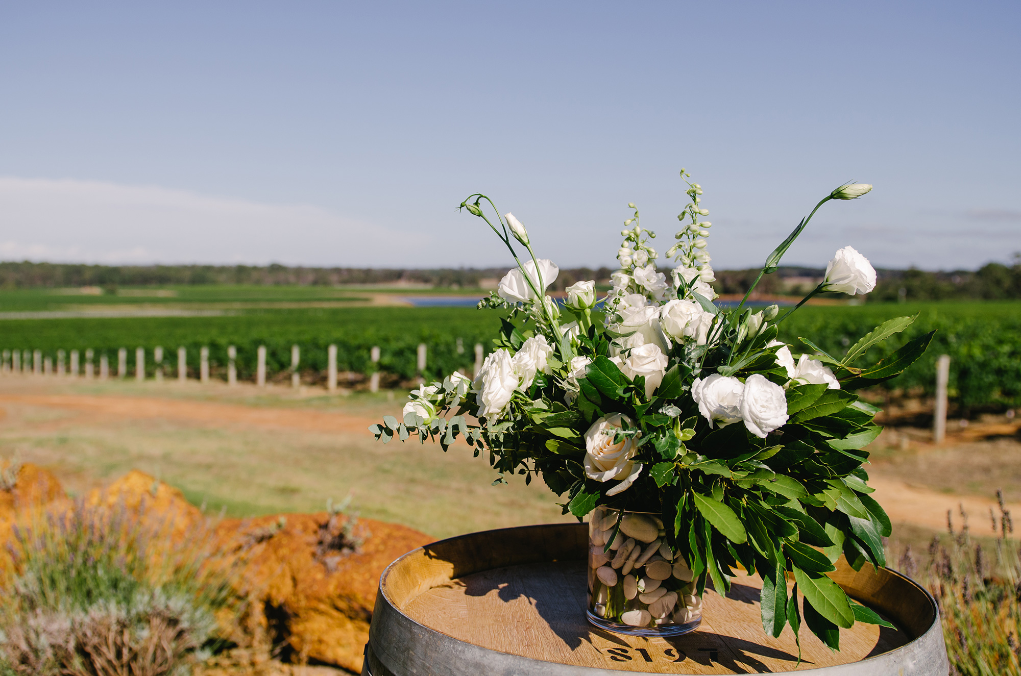 Vicky_Chace_Vineyard-Wedding_013