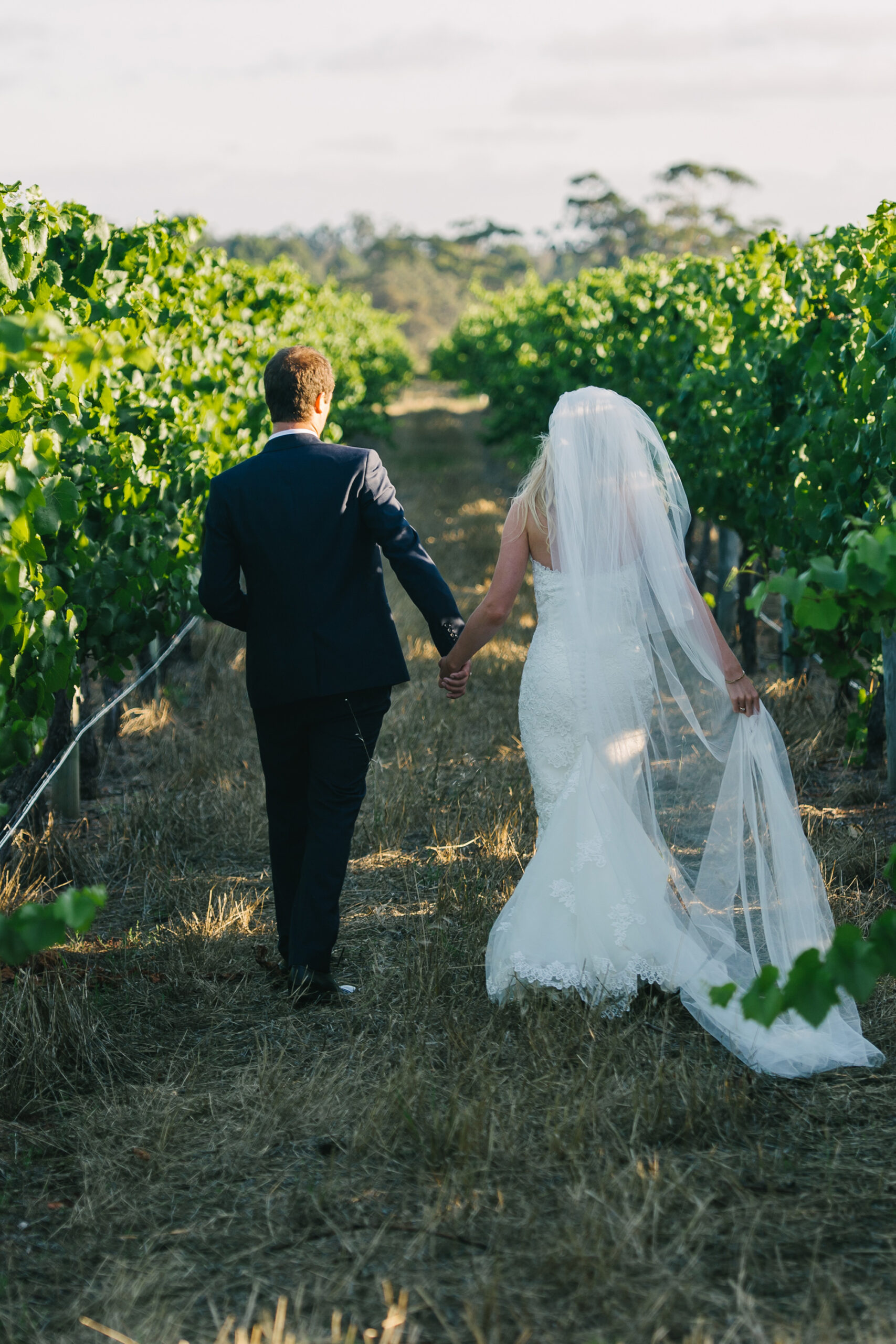 Vicky_Chace_Vineyard-Wedding_SBS_025