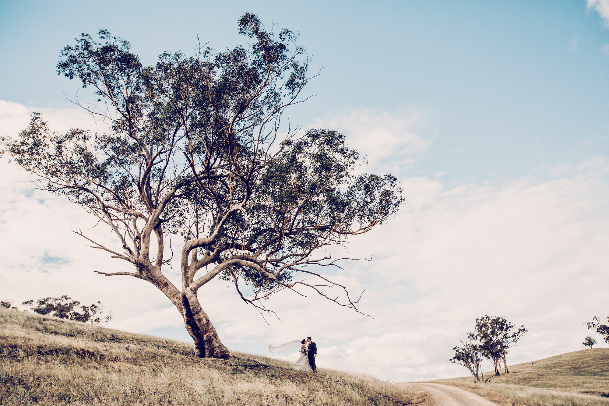 Whitney Carl Elegant Winery Wedding Nikki Burke Photography FAV 009