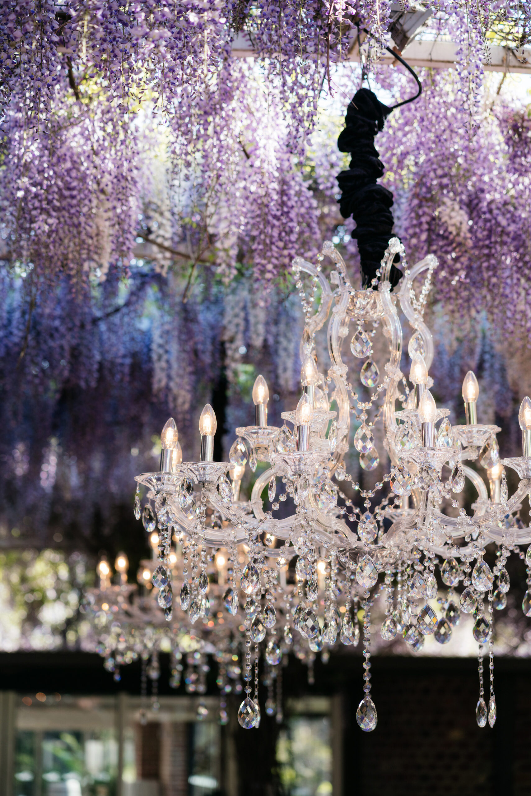 Wisteria Wedding Inspiration Rick Liston SBS 010 scaled