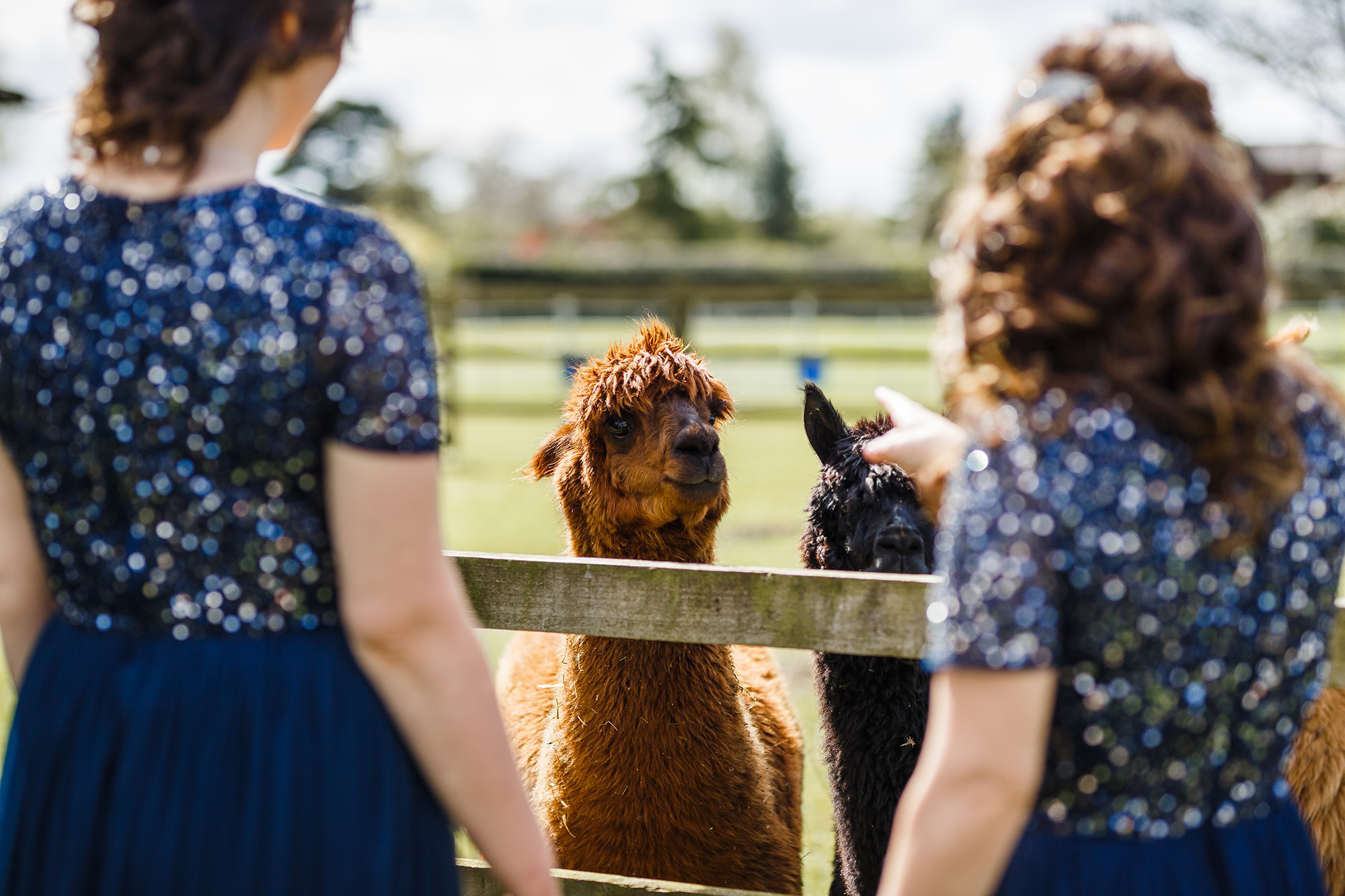 Becky_Tom_Intimate-Wedding_Lottie-Elizabeth-Photography_007