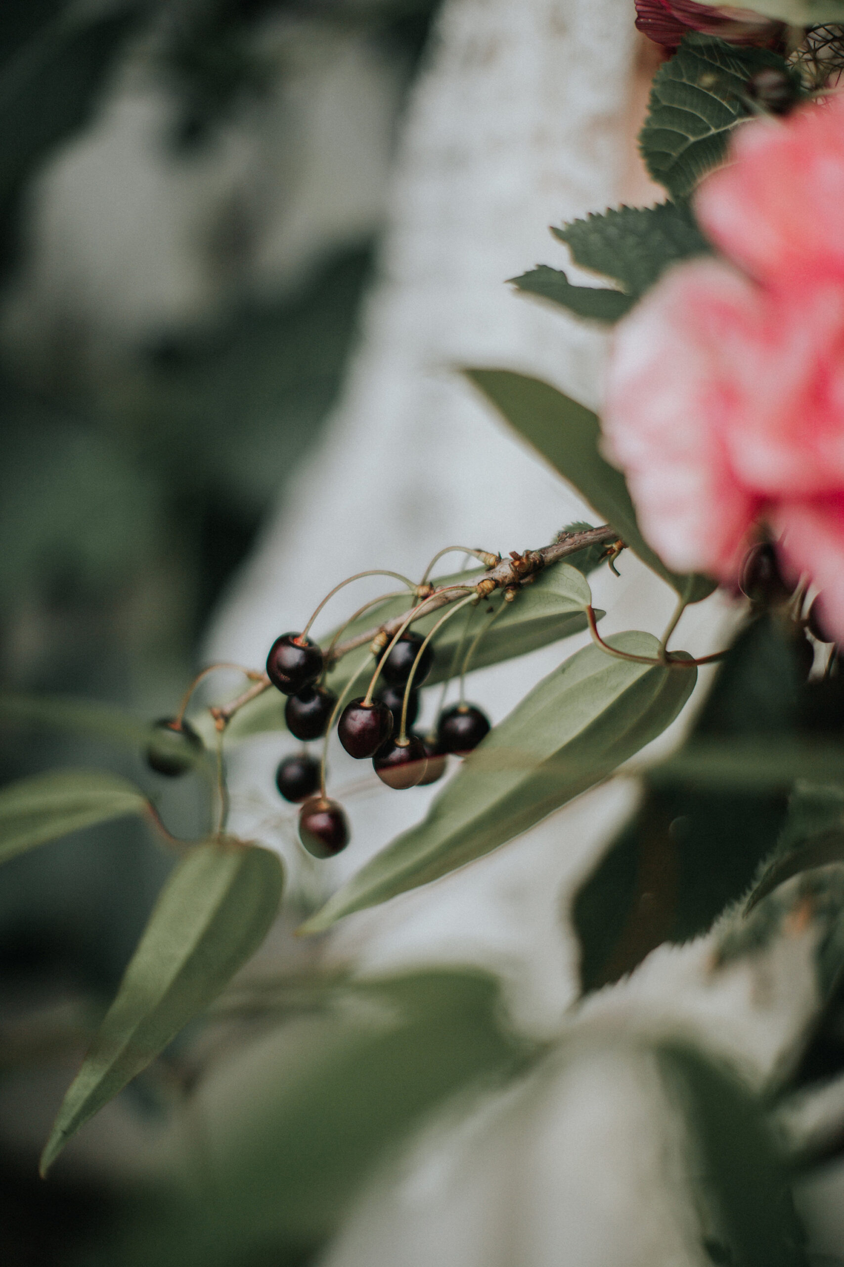Botanical_Ivy_Wedding-Inspiration_Natalie-Pluck-Photography_020
