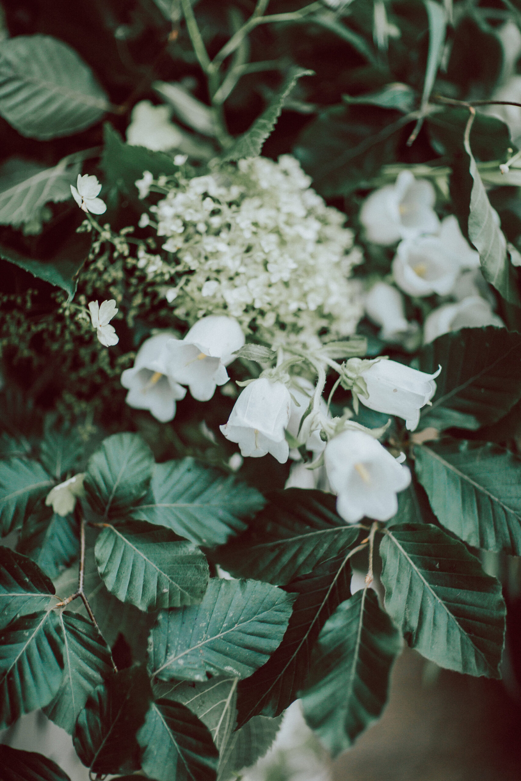 Botanical_Ivy_Wedding-Inspiration_Natalie-Pluck-Photography_038