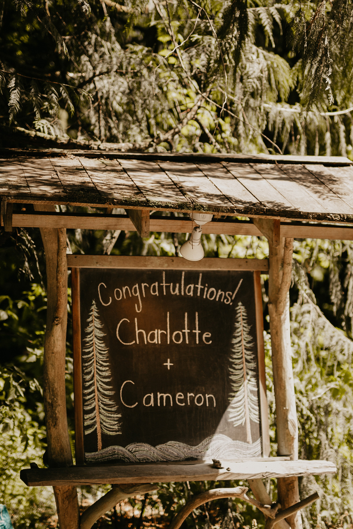 Charlotte Cam Whimsical Forest Wedding Jessica Lily Photography SBS 002