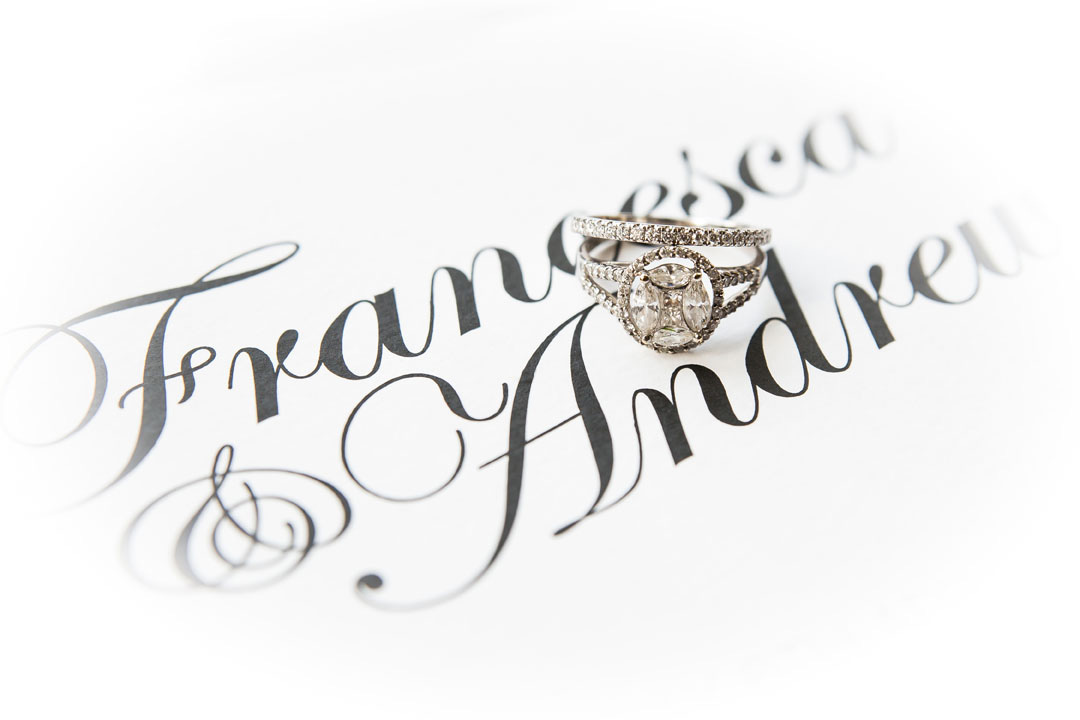 Francesca Andrew Elegant Wedding Linsey Grace Photography 047